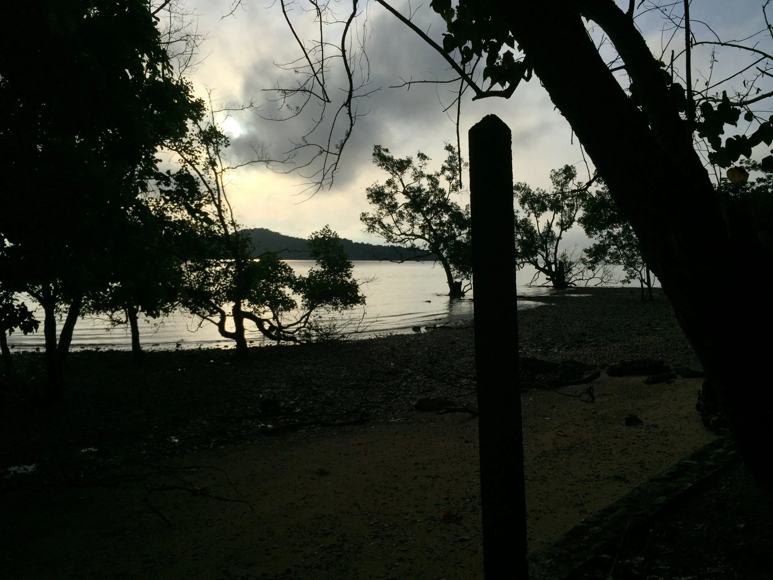 2015 Koh Lanta Garden & Nature (246).JPG