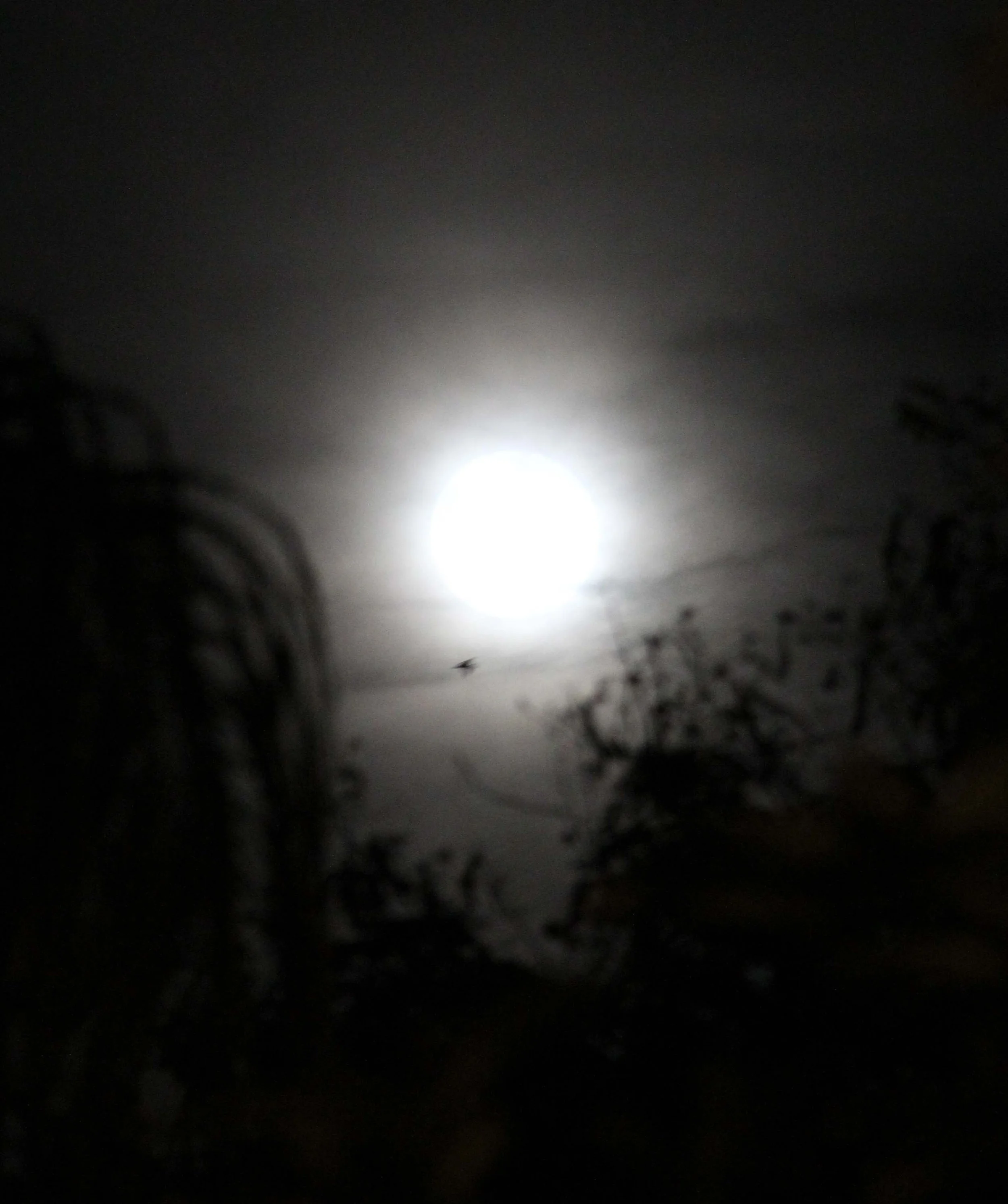 2013 Loy Krathong in Bangkok (67).JPG