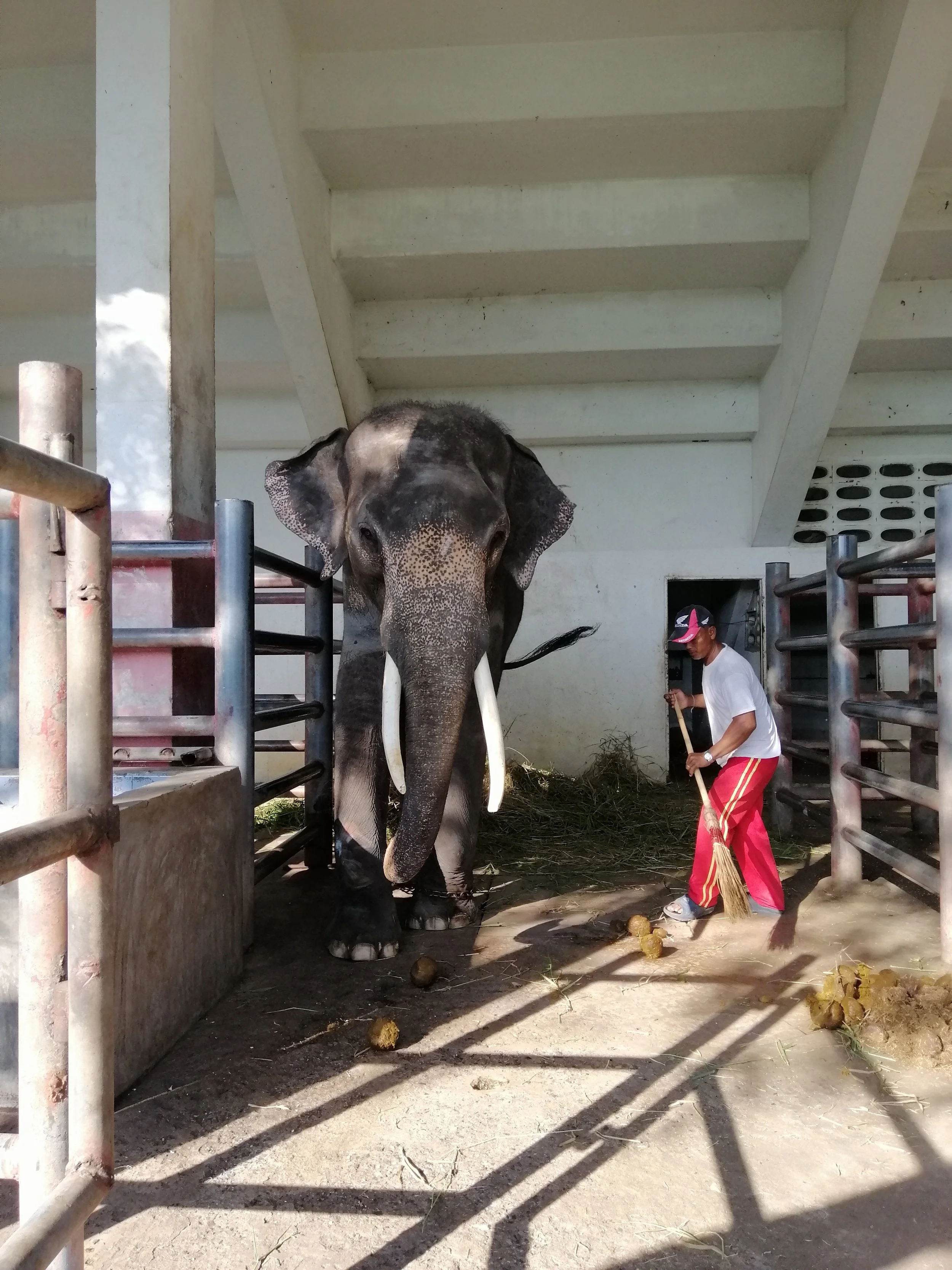 2019 Motorcycle Ride to the Crocodile Farm with Cokie Samut Prakan (18).jpg