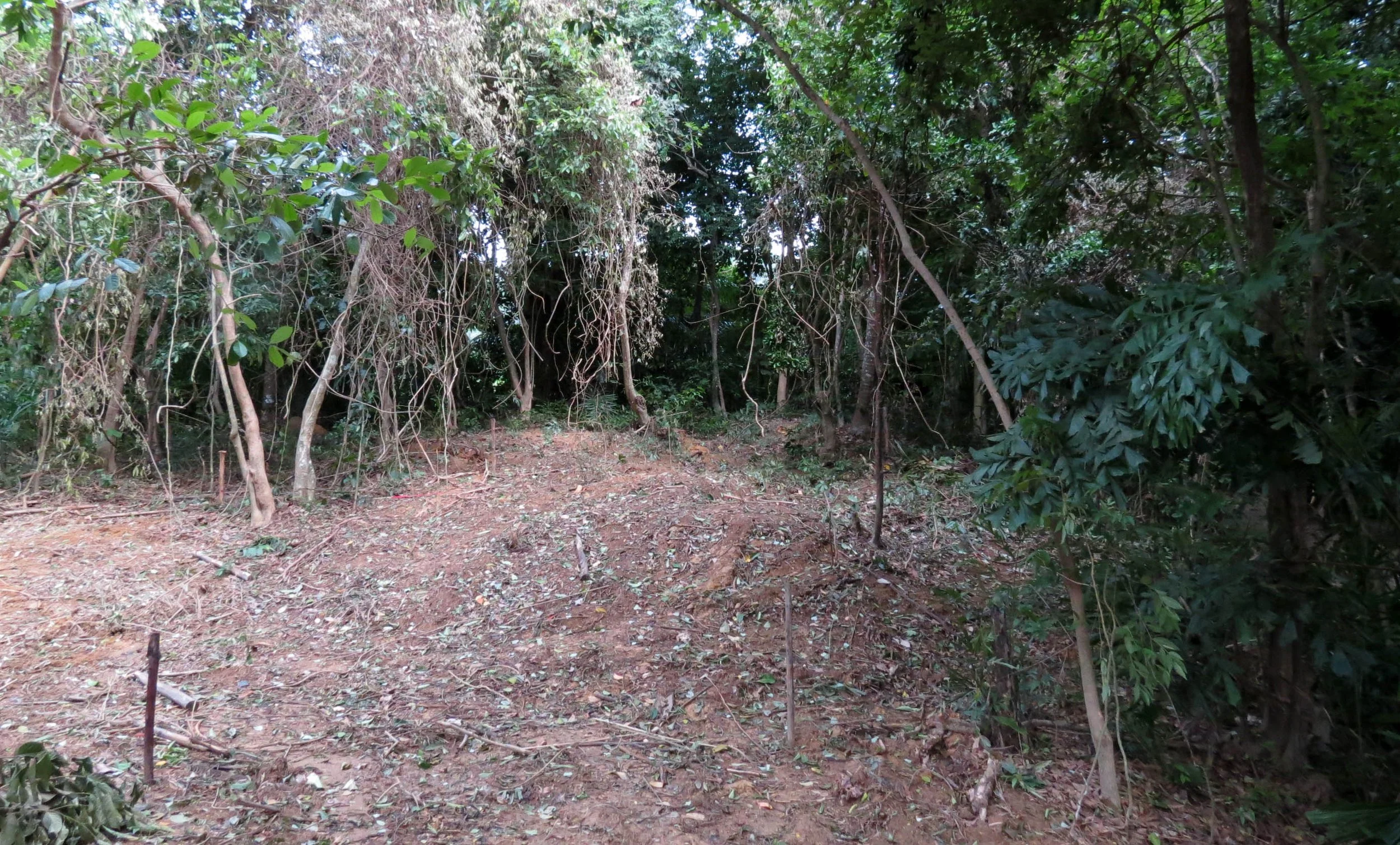 2014 Koh Lanta Build (15).JPG