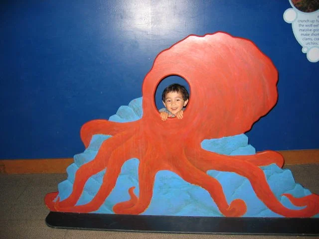 2005-4-16 SEATTLE DAY TO AQUARIUM (11).jpg