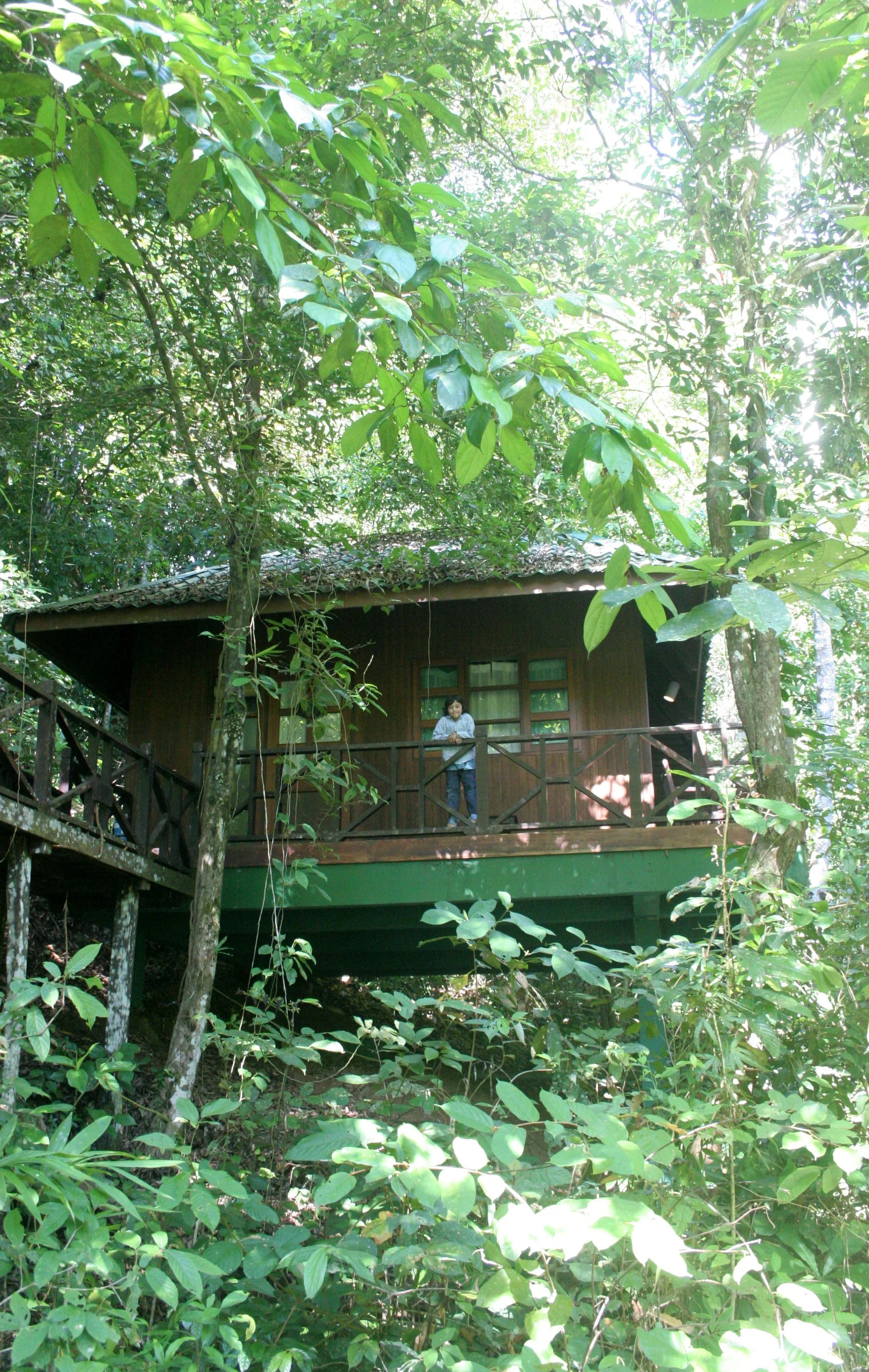 TABIN WILDLIFE RESERVE BORNEO - TABIN LODGE - OUR PAD.JPG