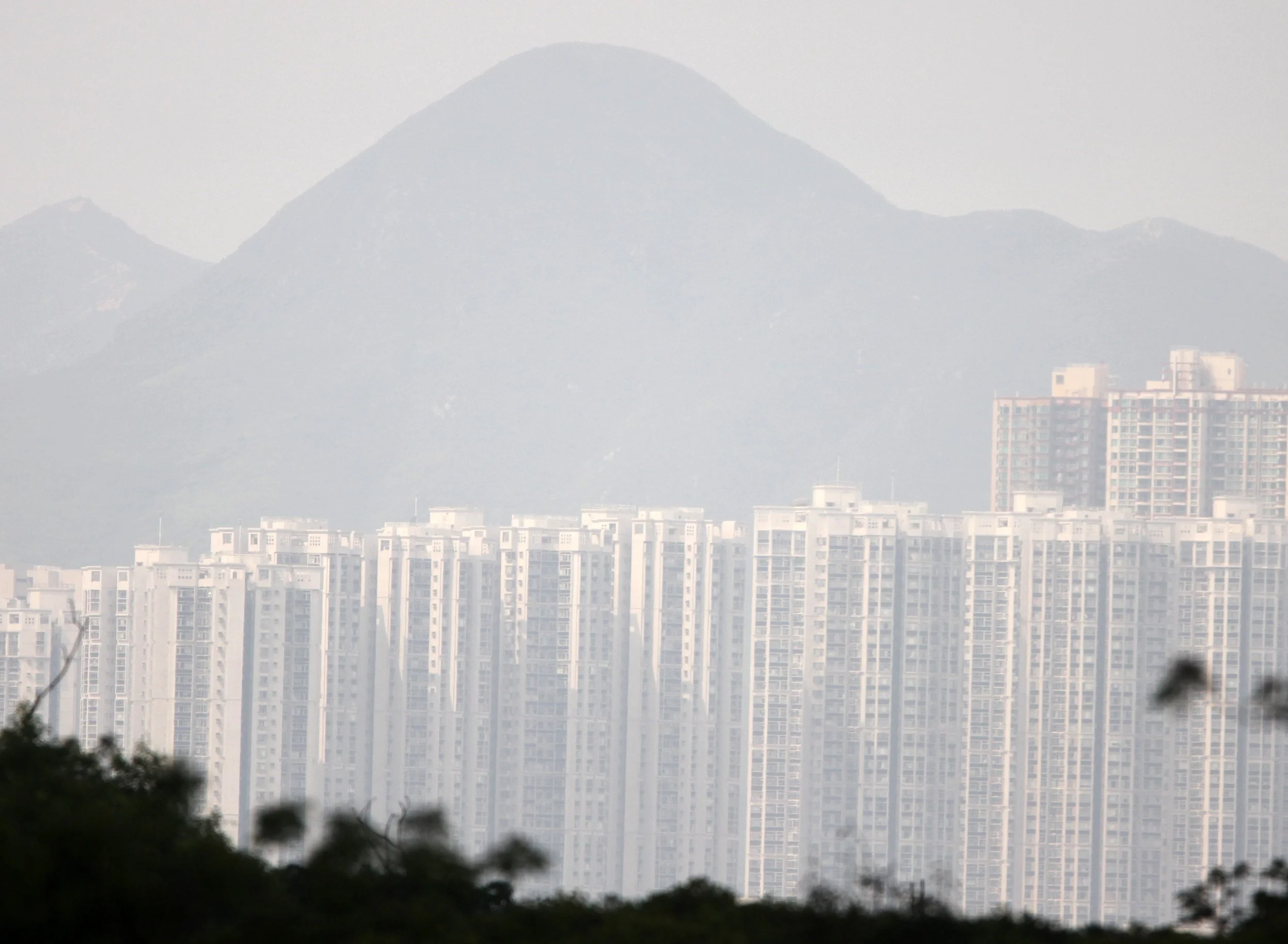 MAI PO WETLANDS HONG KONG (18).JPG