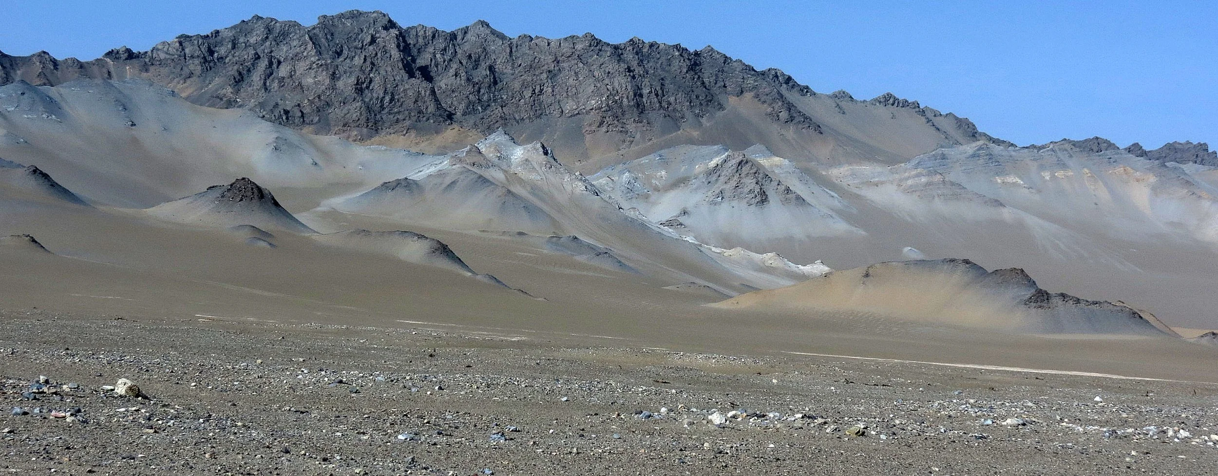 LOP NUR WILD BACTRIAN CAMEL RESERVE - XINJIANG CHINA (24).JPG