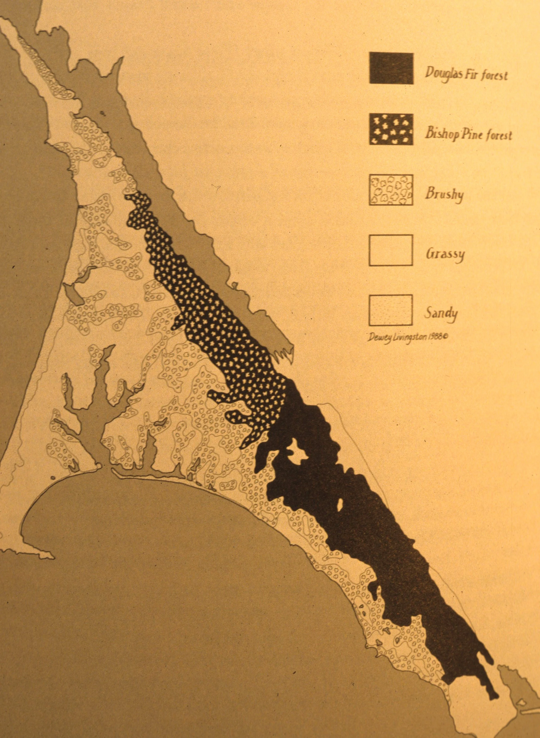 CALIFORNIA - POINT REYES - PLANT COMMUNITY DISTRIBUTION MAP.jpg