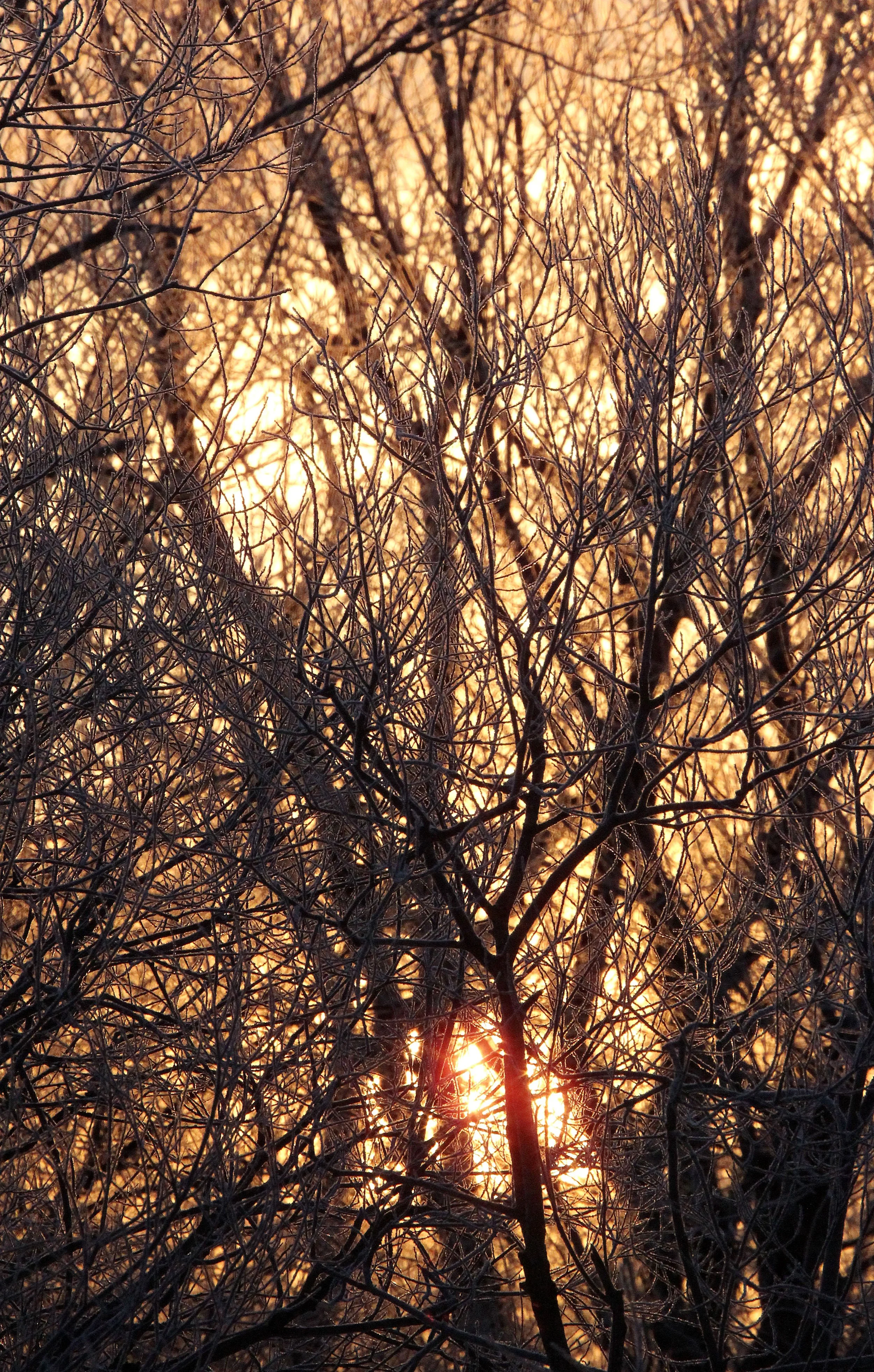 OTOWABASHI SETSUGAWA - TSURUI TOWN - HOKKAIDO JAPAN (22).JPG