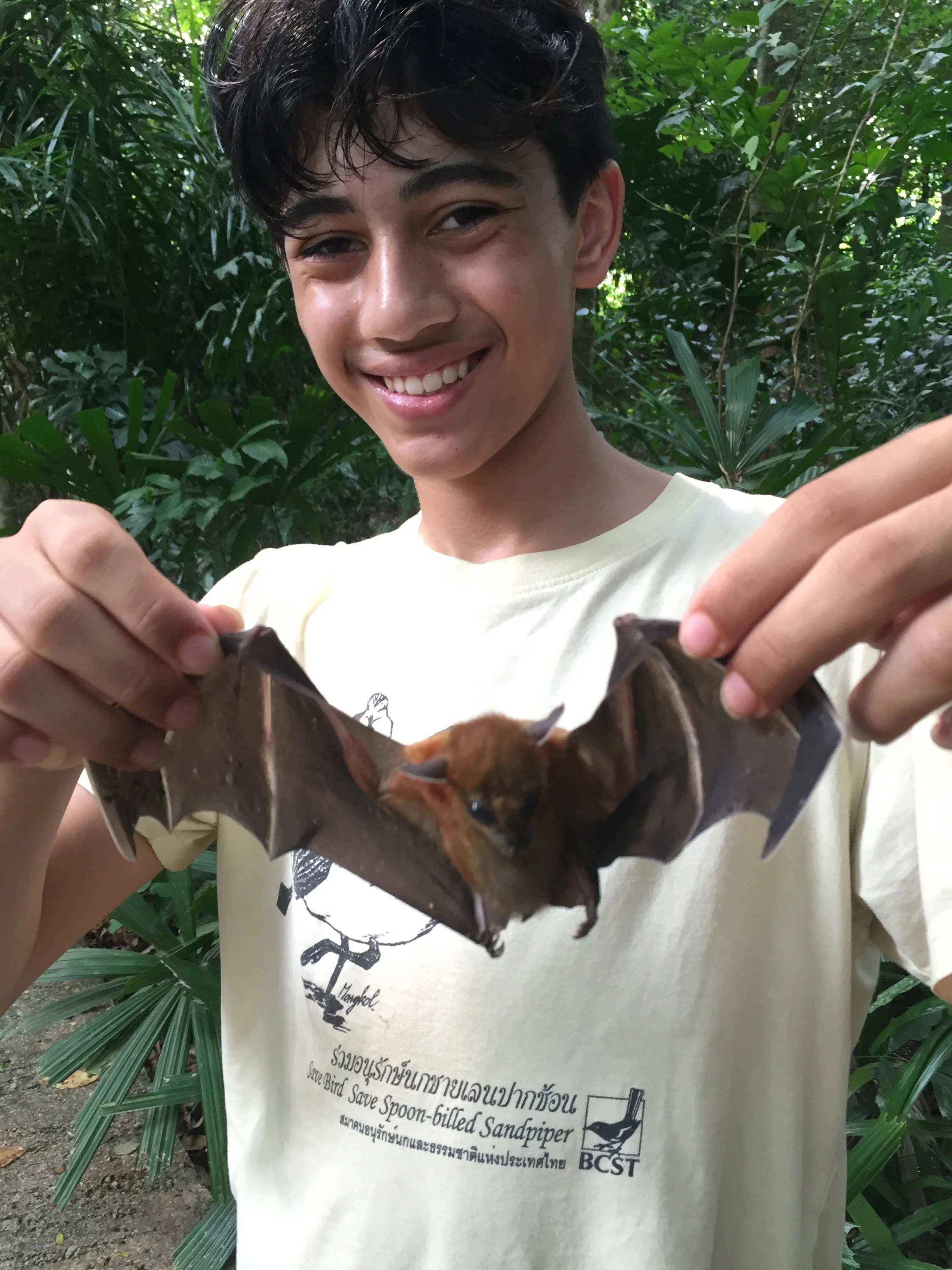 2015 Koh Lanta Garden Bats, Poacher Nets & Nature (5).jpg