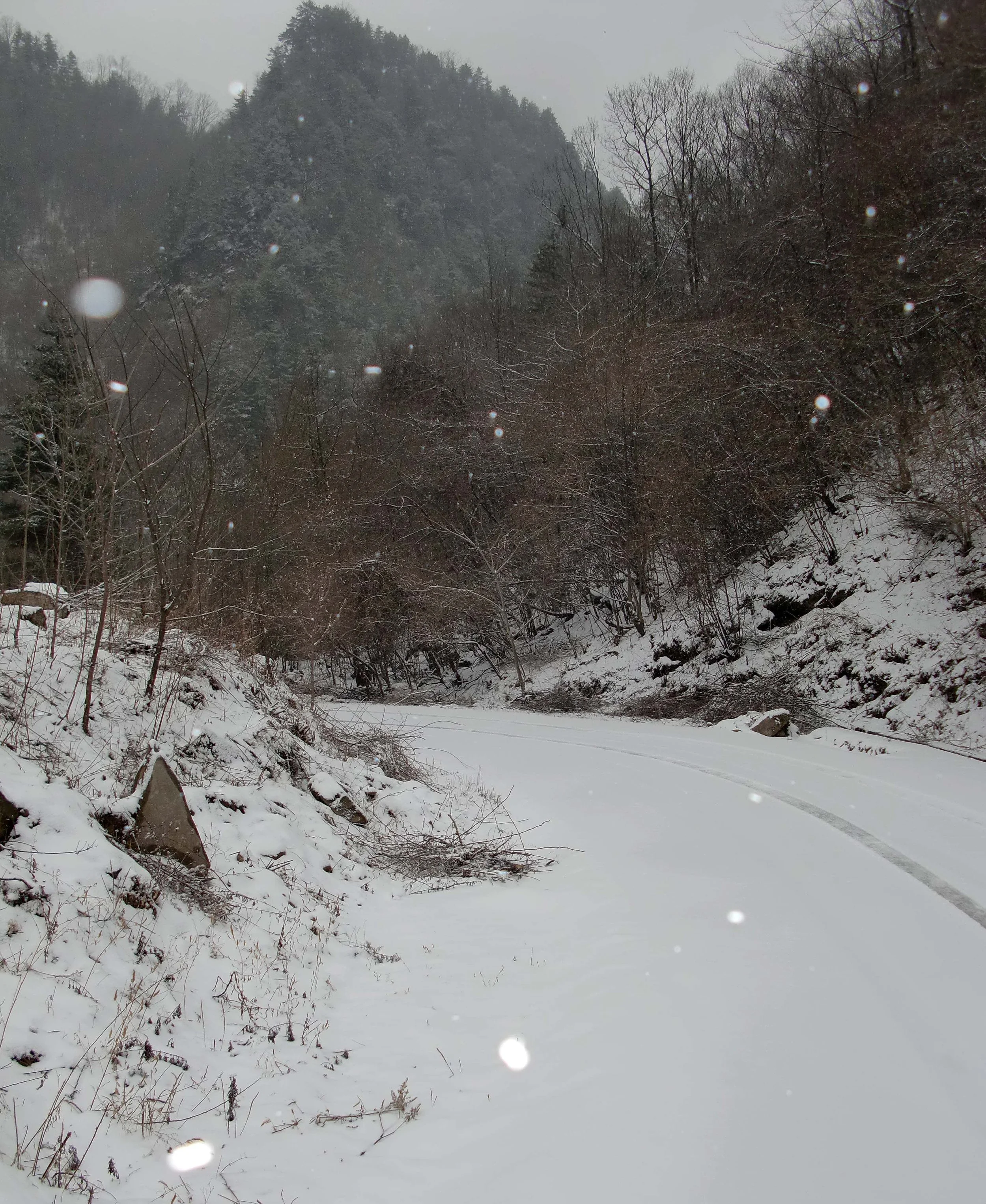 FOPING NATURE RESERVE - SHAANXI PROVINCE CHINA (4).JPG