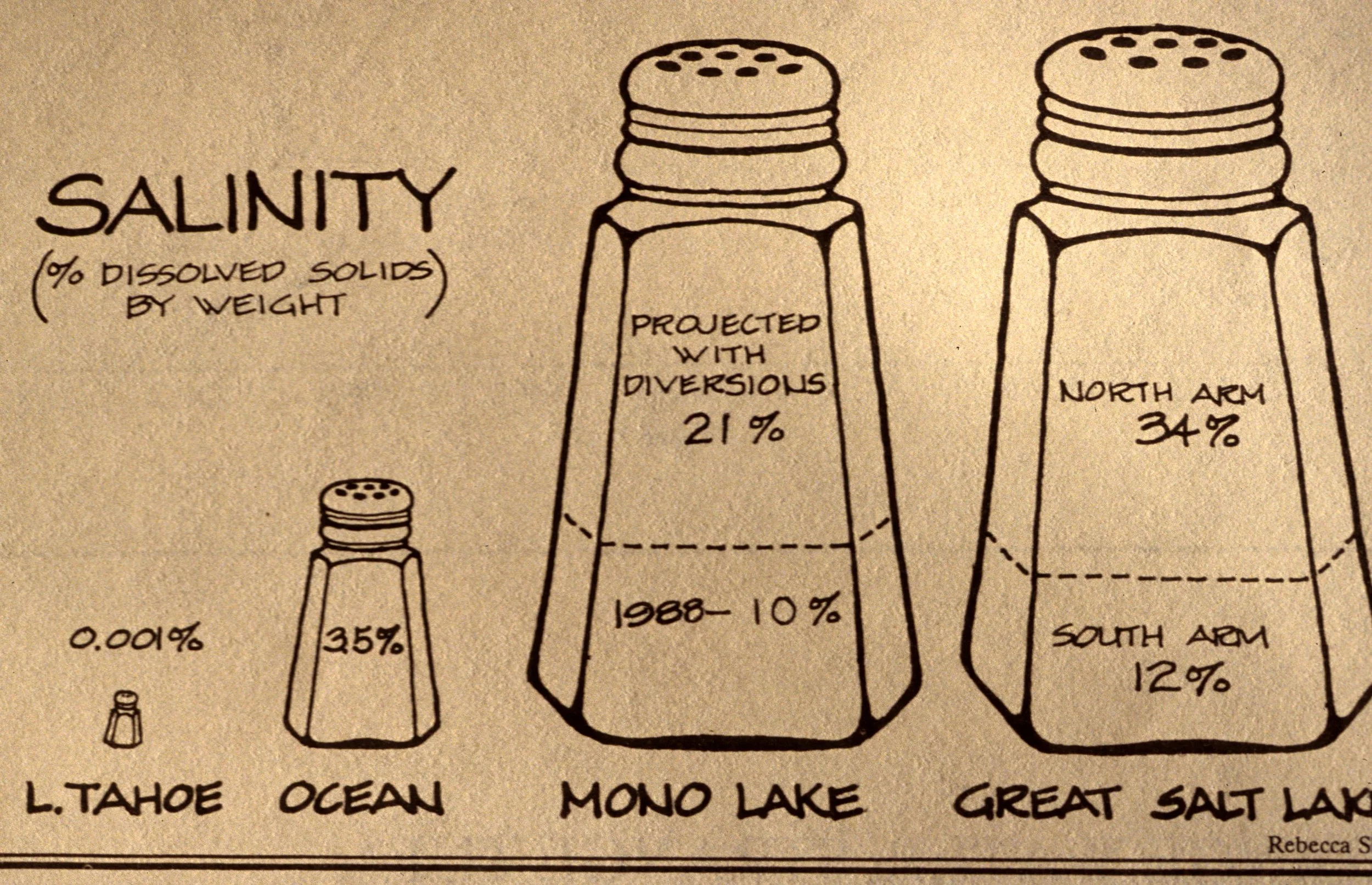 CALIFORNIA - MONO LAKE - SALINITY COMPARISONS.jpg