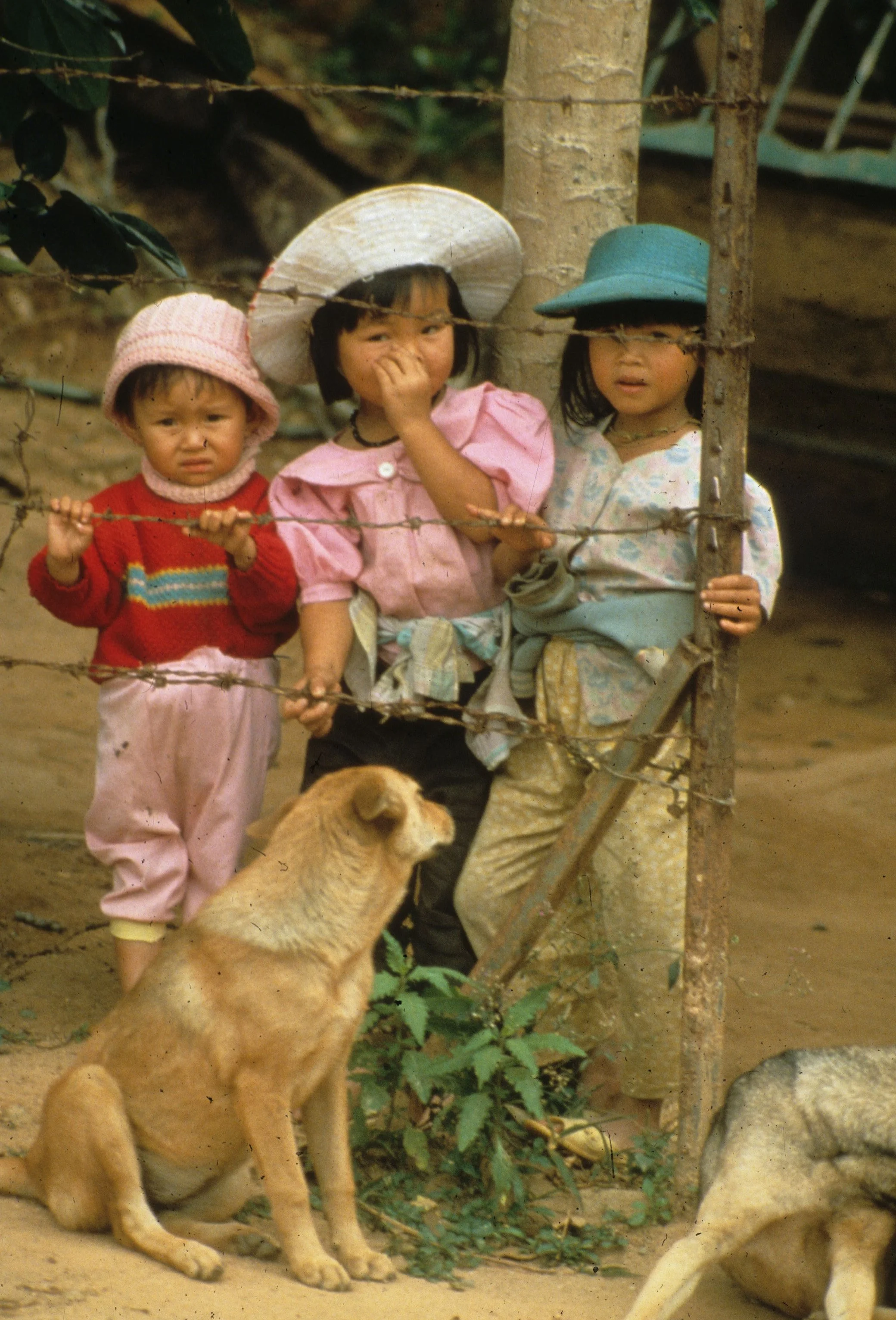 DA LAT - ADAY CHILDREN.jpg