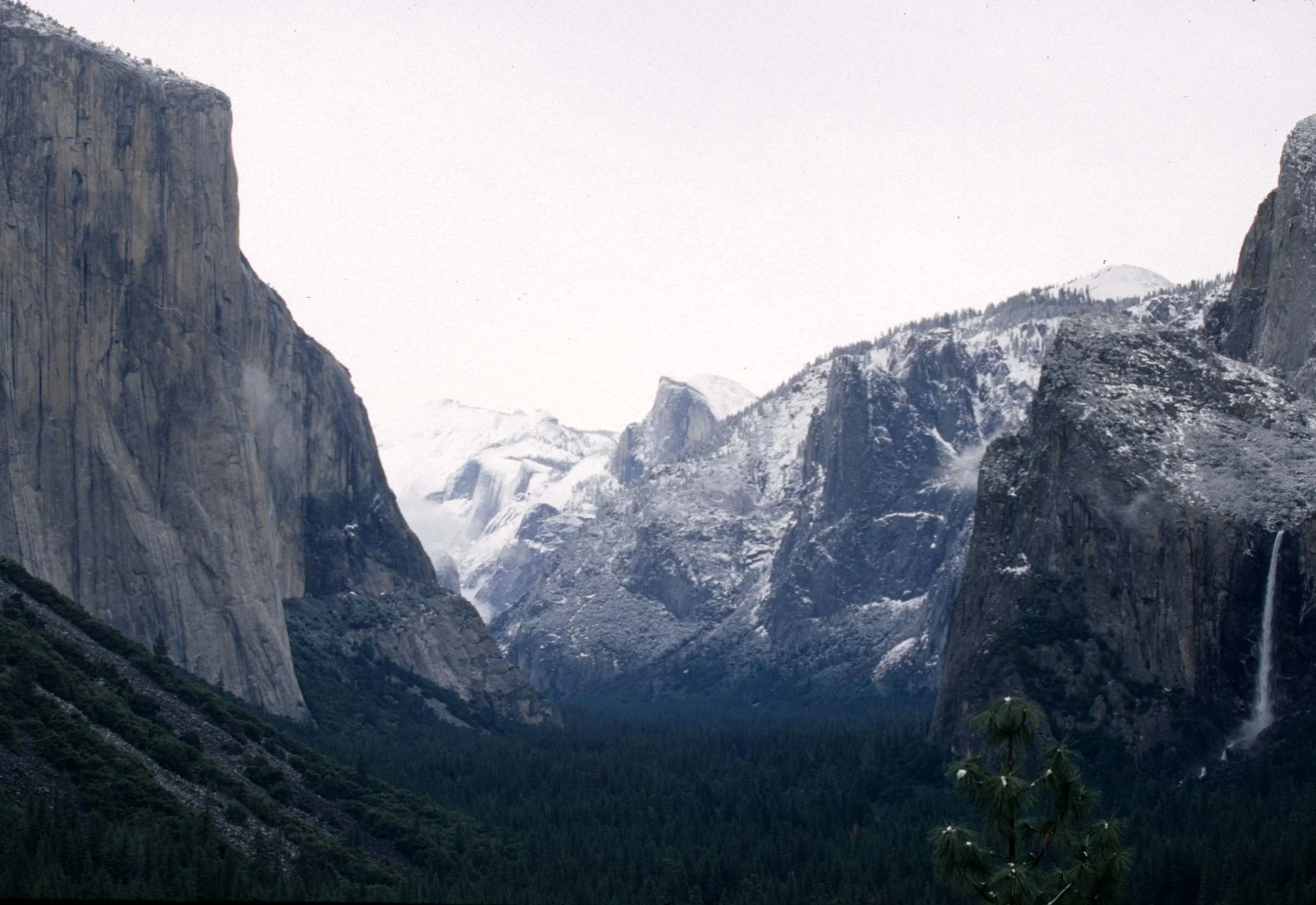CALIFORNIA - YOSEMITE NP  (25).jpg
