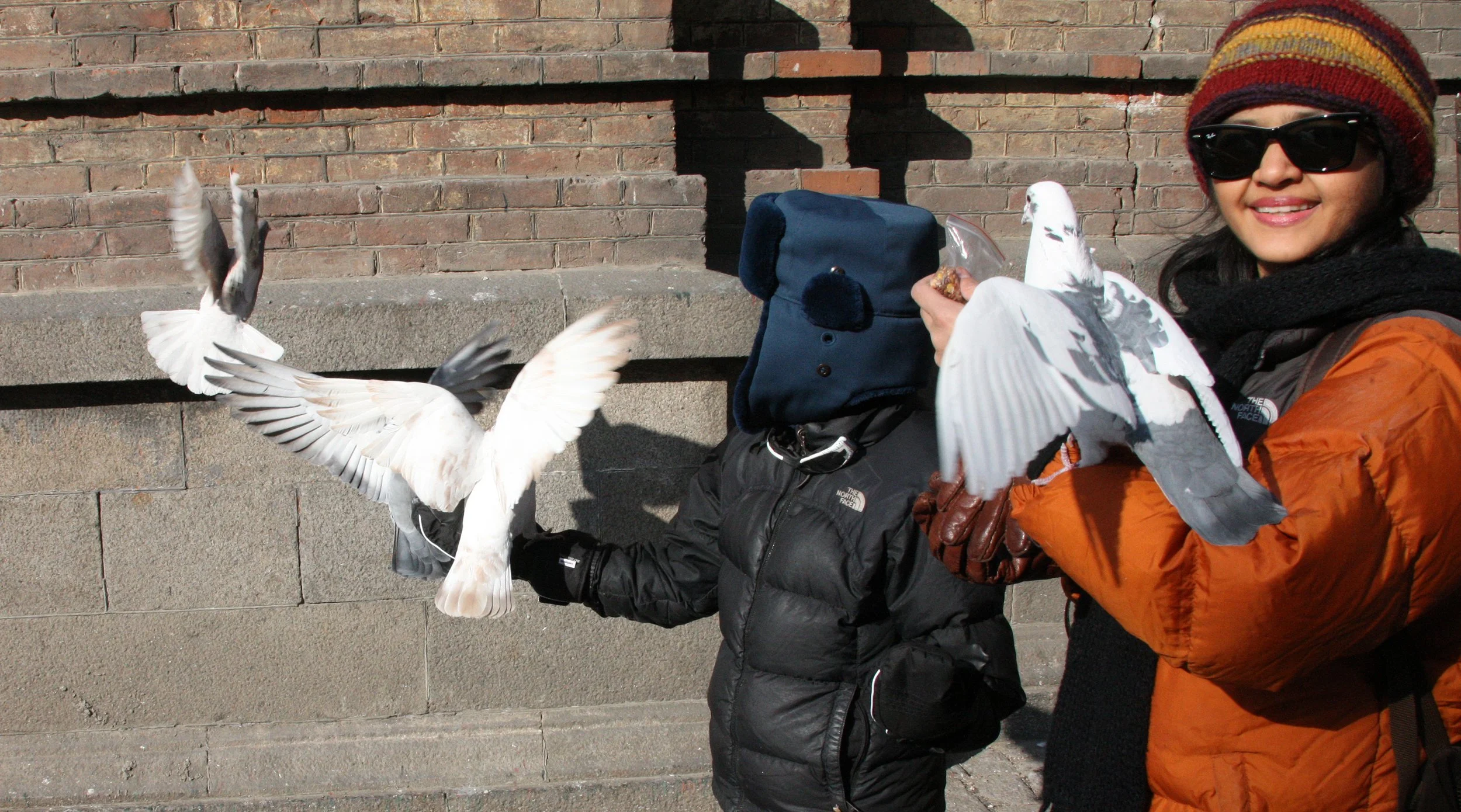 BIRD - PIGEON - HARBIN SAINT SOPHIA'S CATHEDRAL CHINA (57).JPG