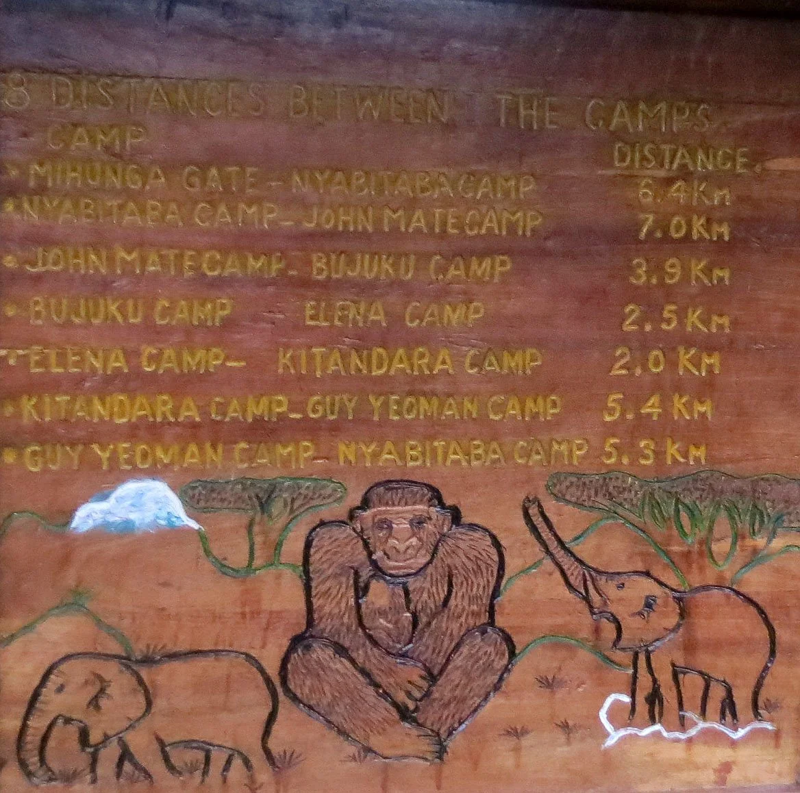 RWENZORI NATIONAL PARK UGANDA (288).JPG