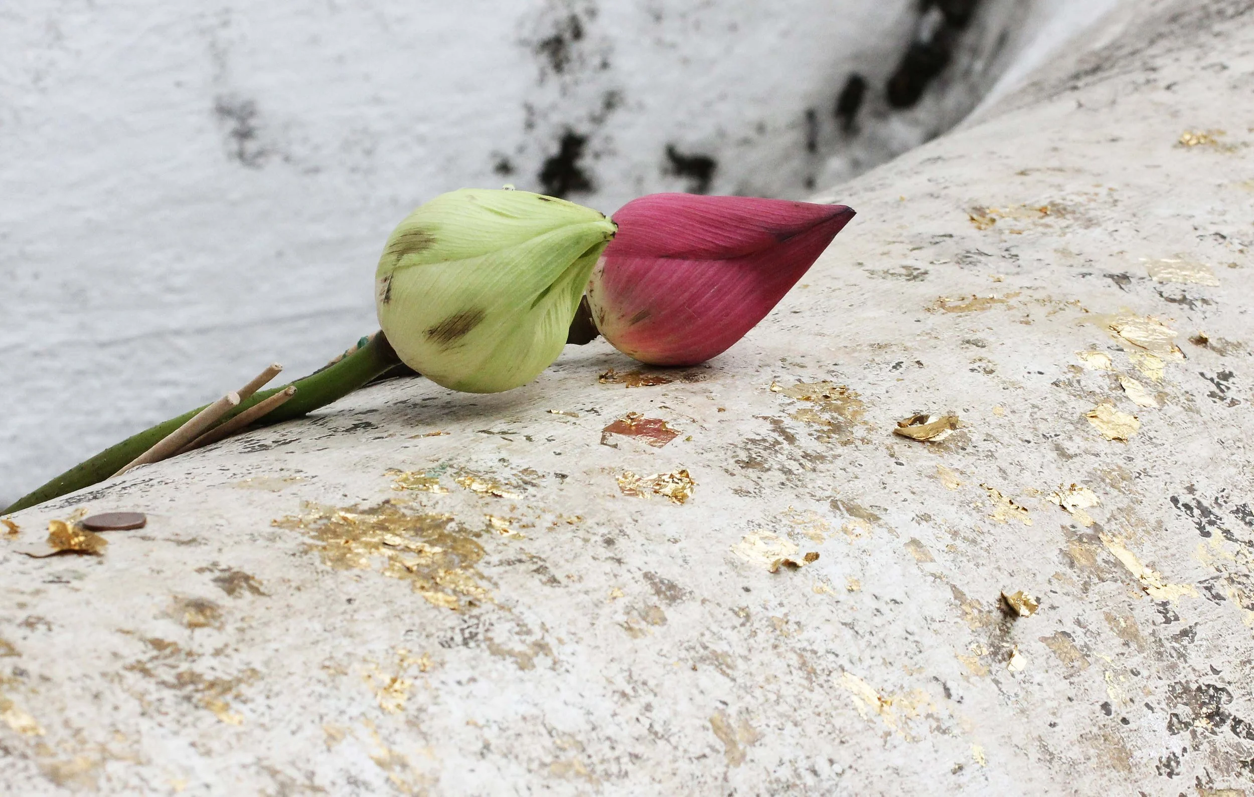 2013 Ayutthaya ISB Passion Day (102).JPG