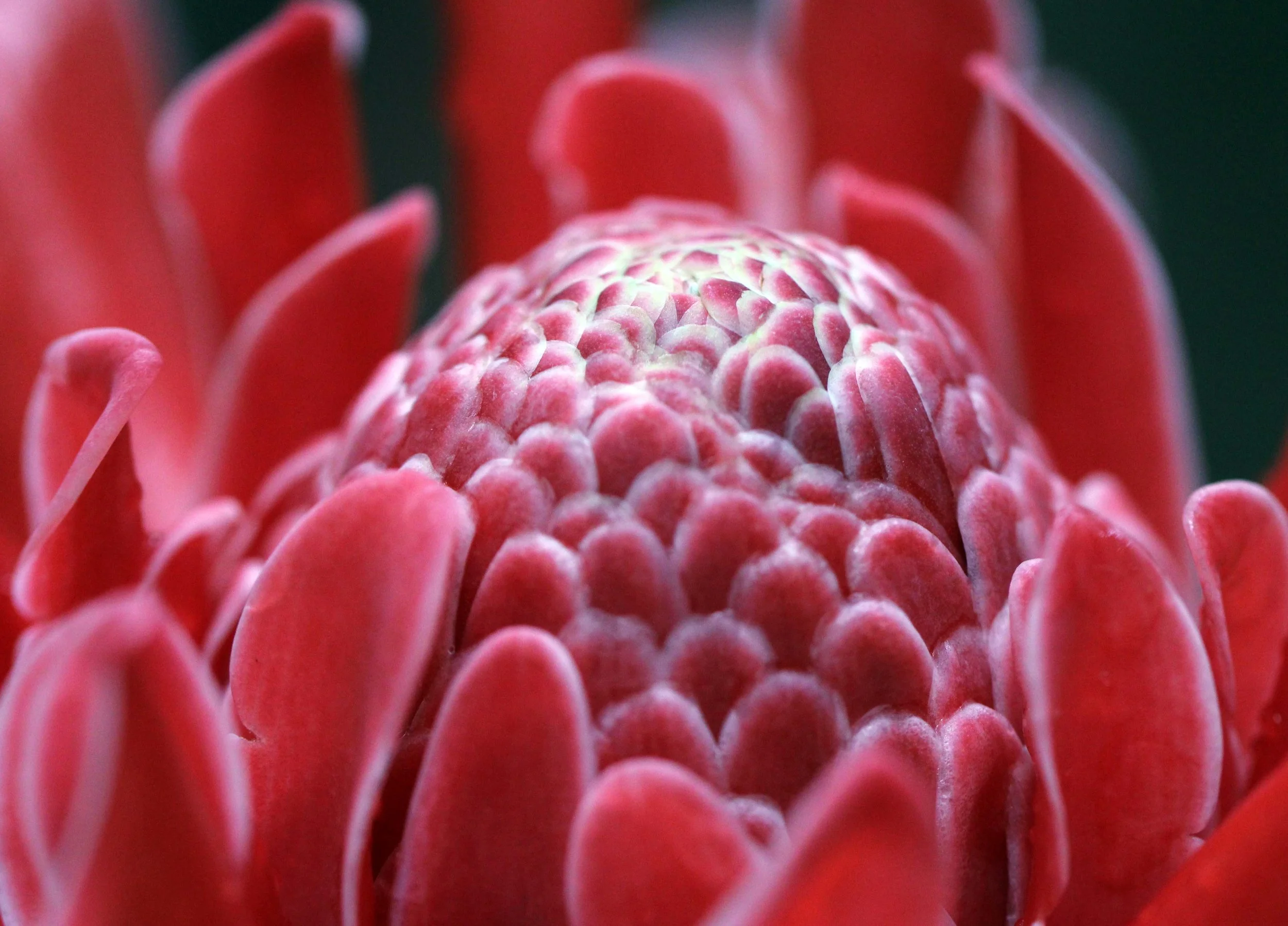 2013 in Nakhonsithammarat and some Krabi with Family (29).JPG