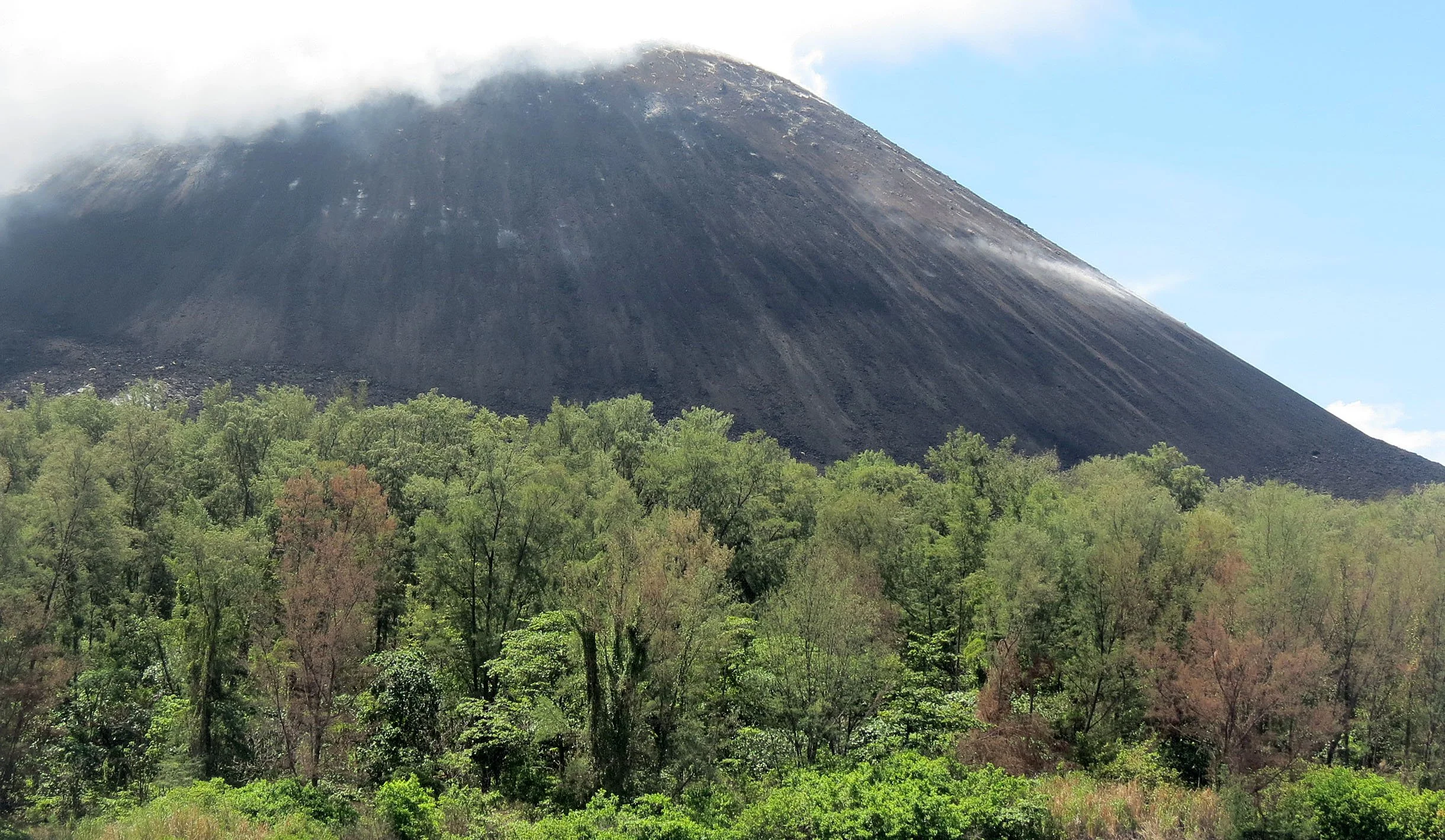 KRAKATAU NATIONAL PARK - JAVA BARAT INDONESIA (26).JPG