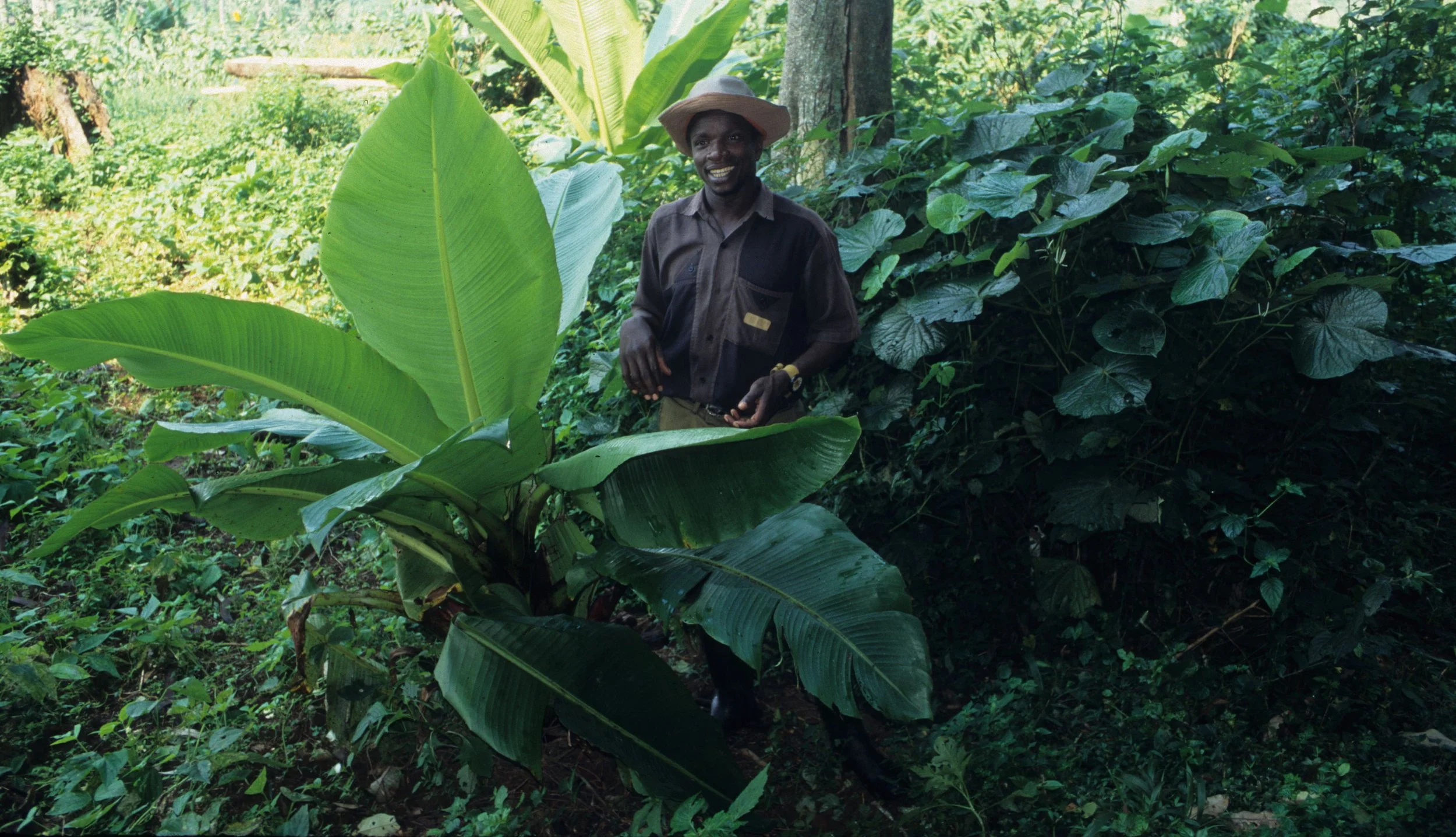 UGANDA - ETHNOBOTANY TALK.jpg