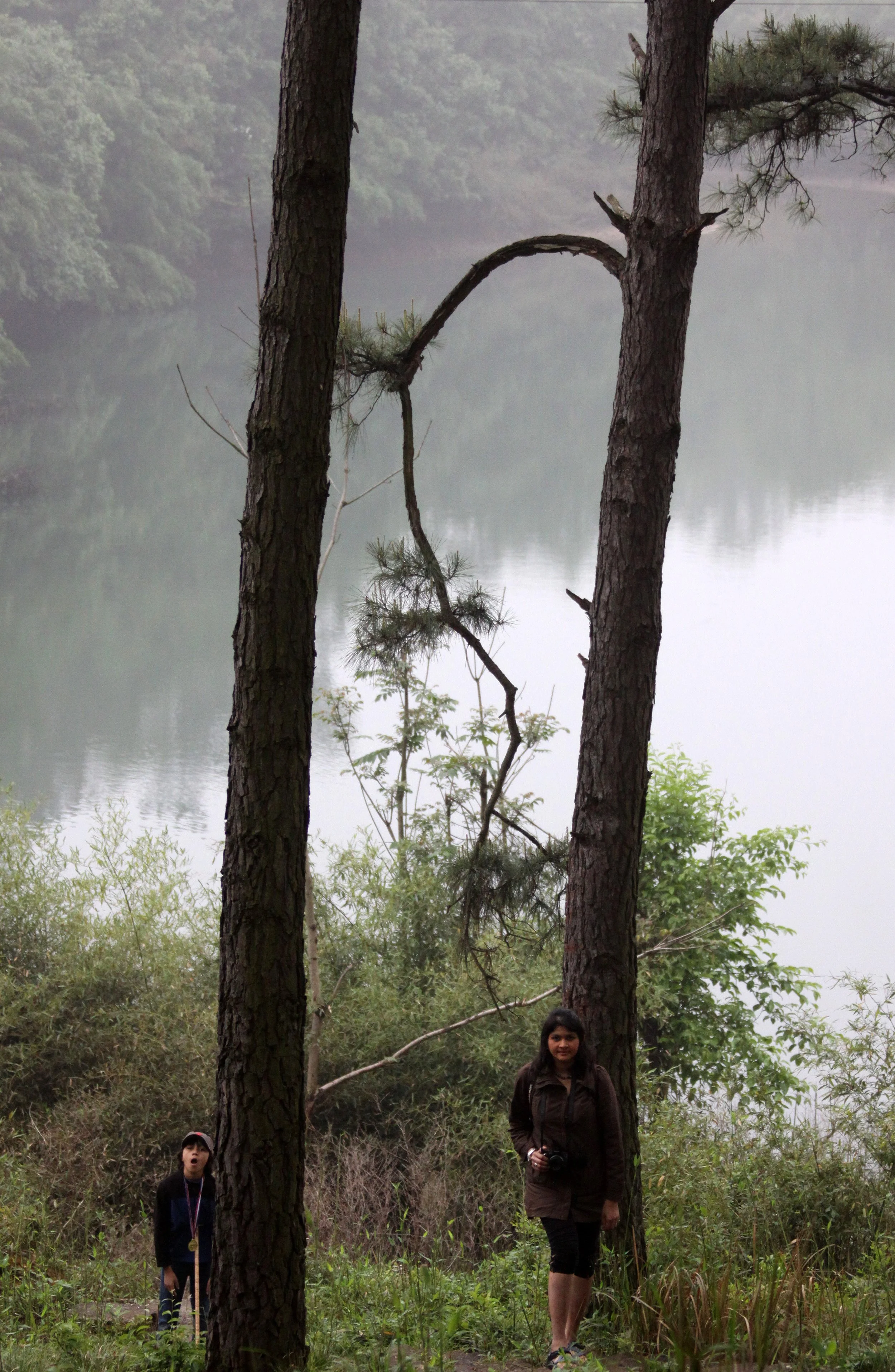 CHINESE ALLIGATOR BREEDING CENTER - XUANCHENG CHINA (14).JPG