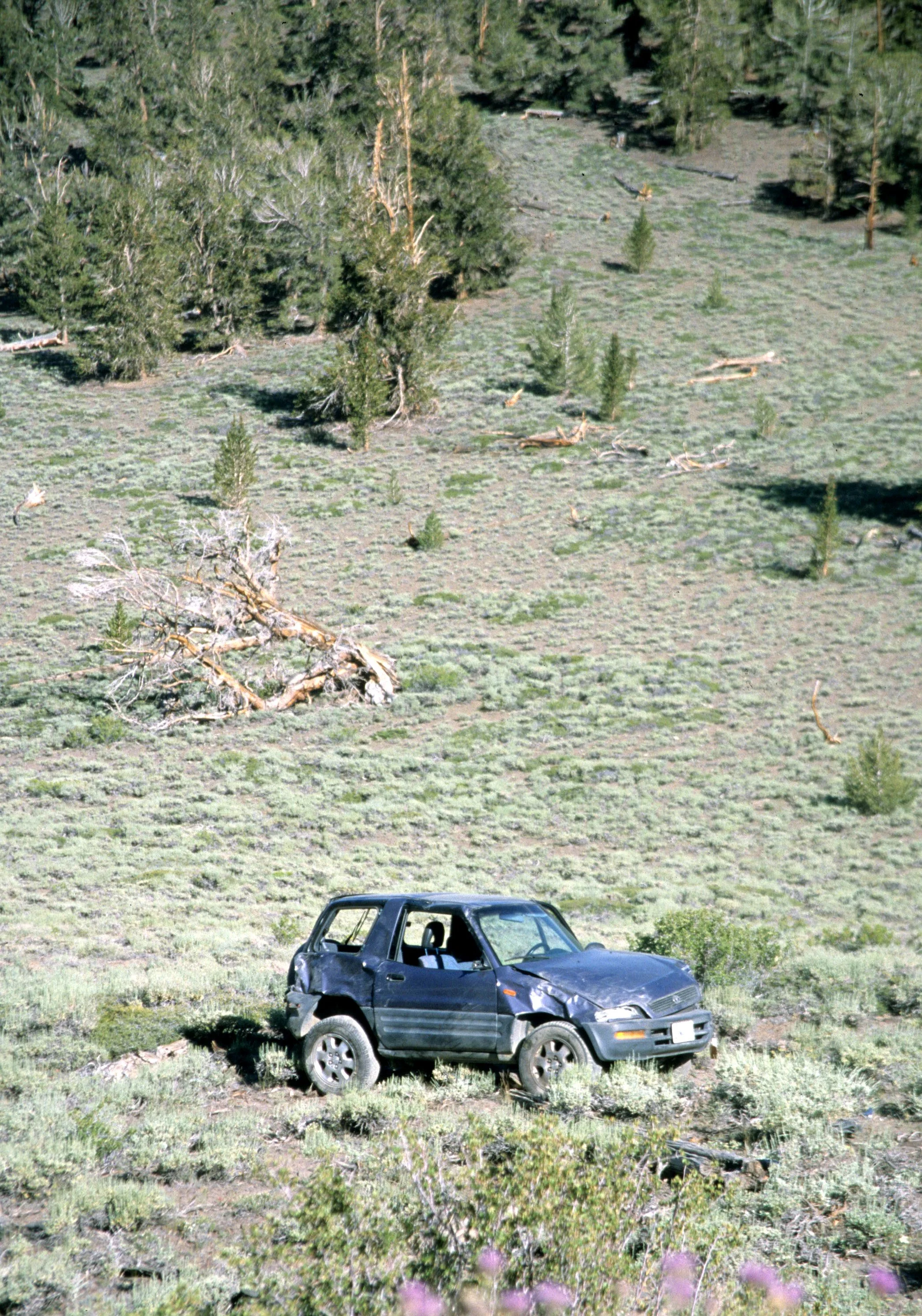 CALIFORNIA - WHITE MOUNTAINS - WRECK.jpg