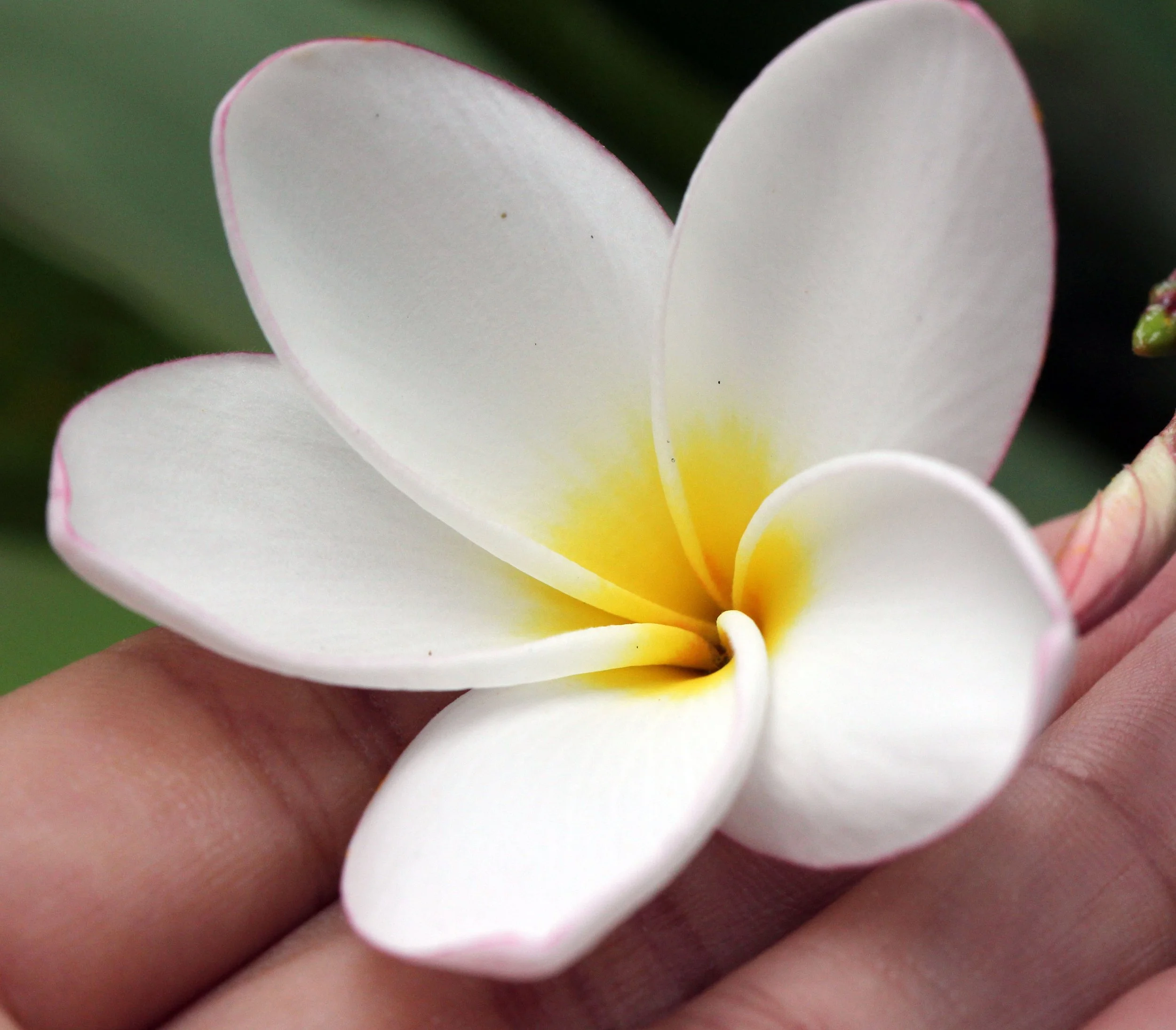 2013 Cha'am and Petchaburi with Family & Friends (29).JPG