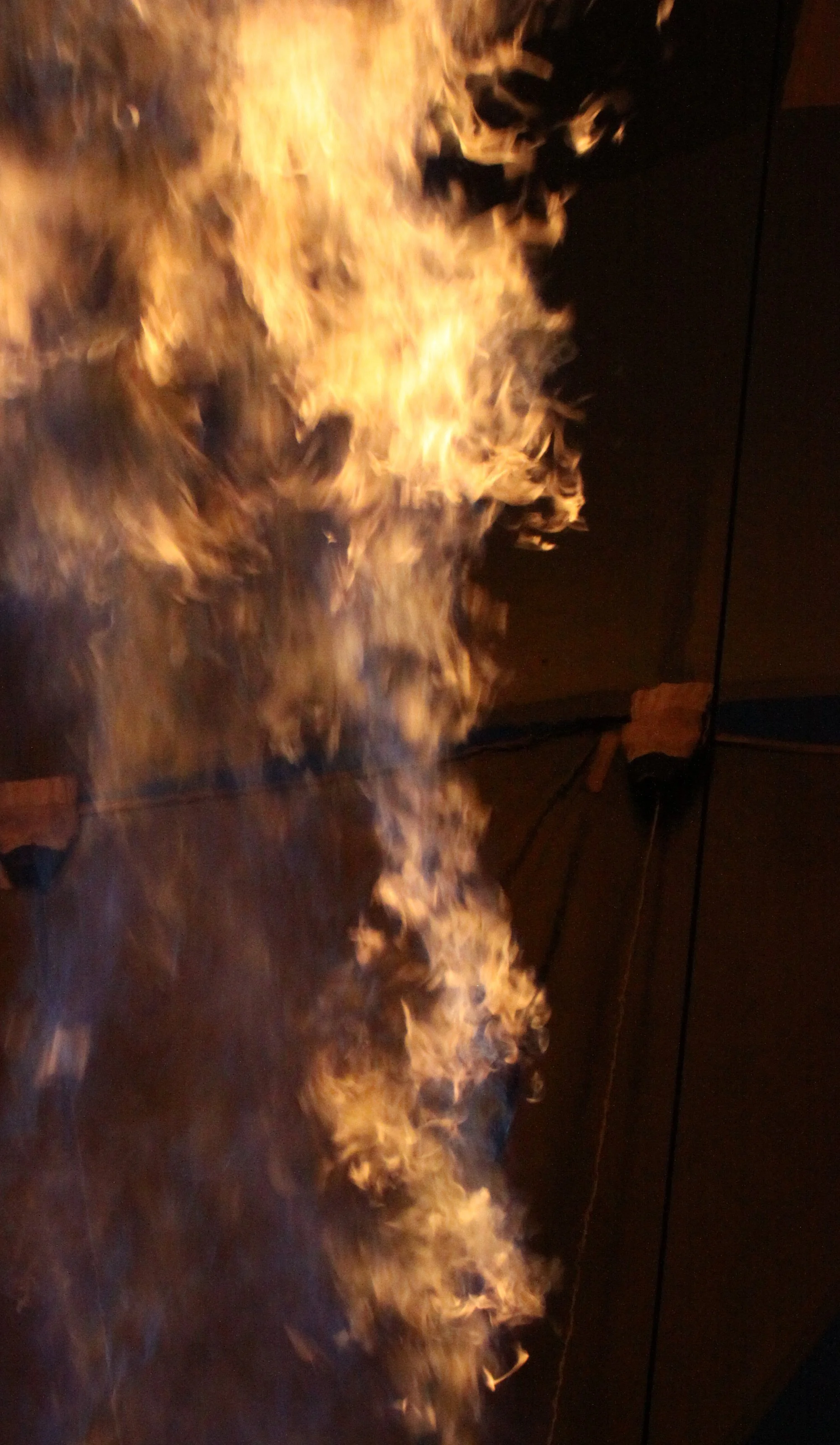 MASAI MARA NATIONAL PARK KENYA (226).JPG