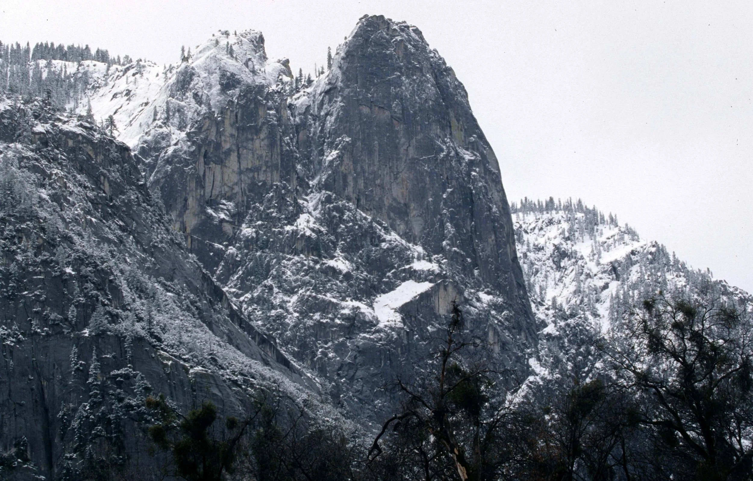 CALIFORNIA - YOSEMITE NP  (2).jpg