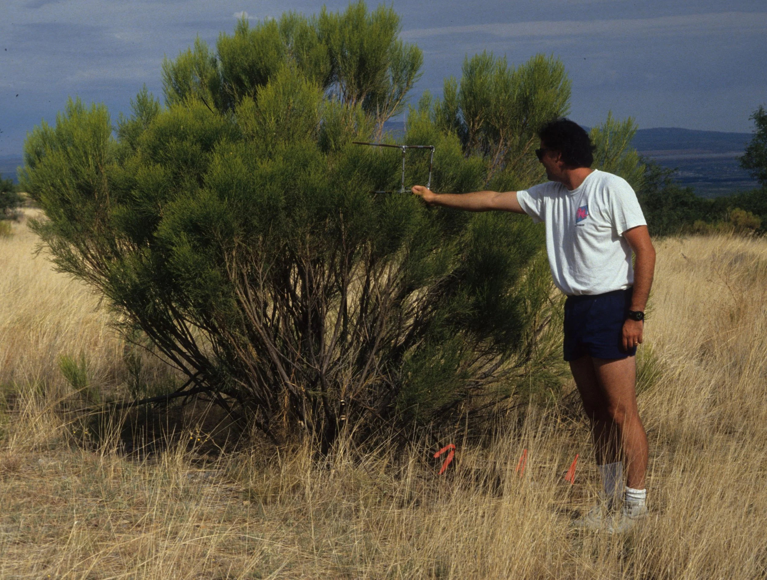 ARIZONA - MADERA CANYON - RESEARCH - DATA COLLECTION C.jpg