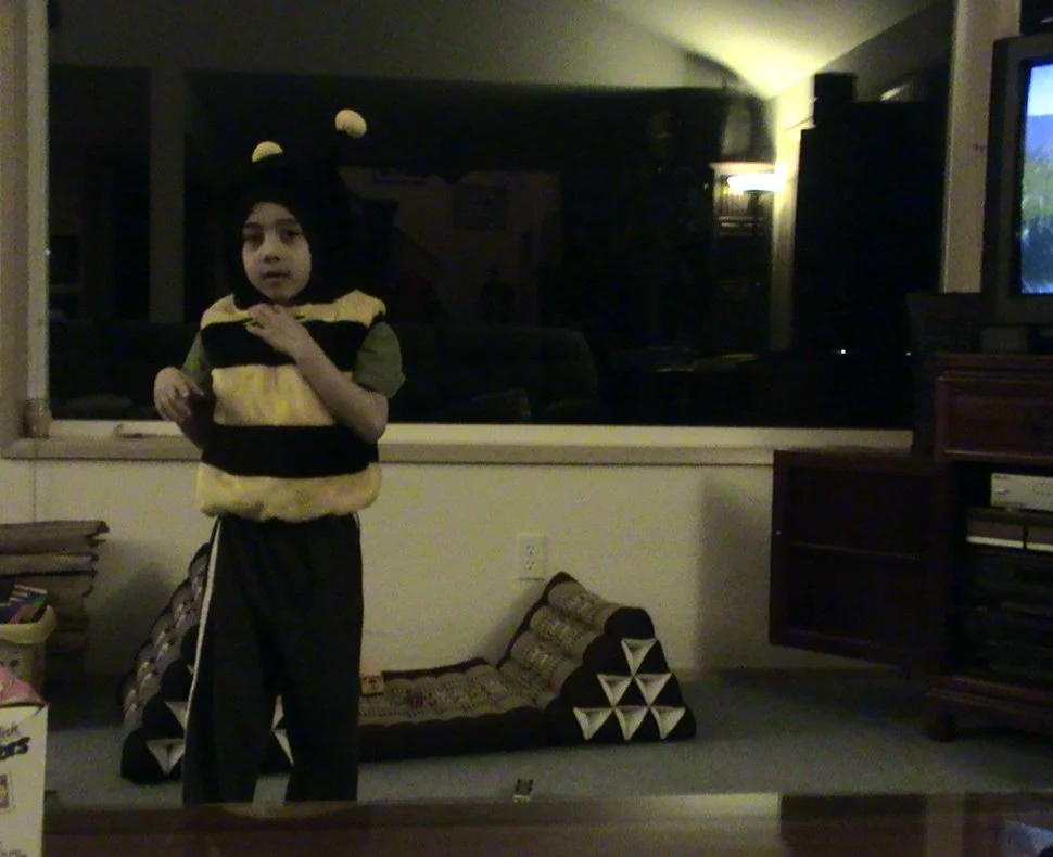2008-2-21 COKIE AS A BEE.JPG