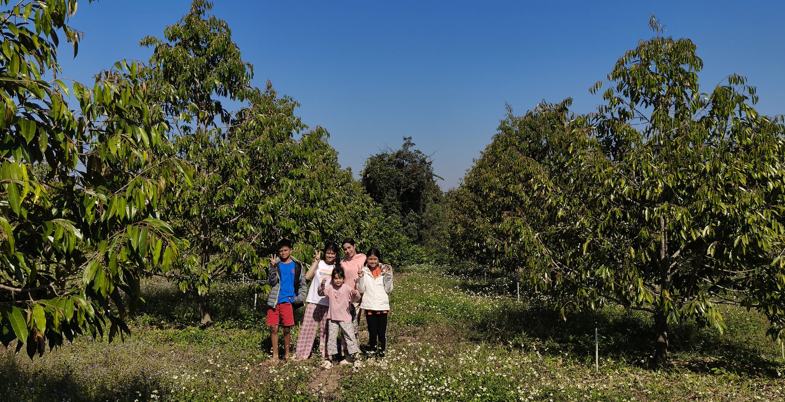 Ngao Durian Farm January 1 2026 (8).jpg