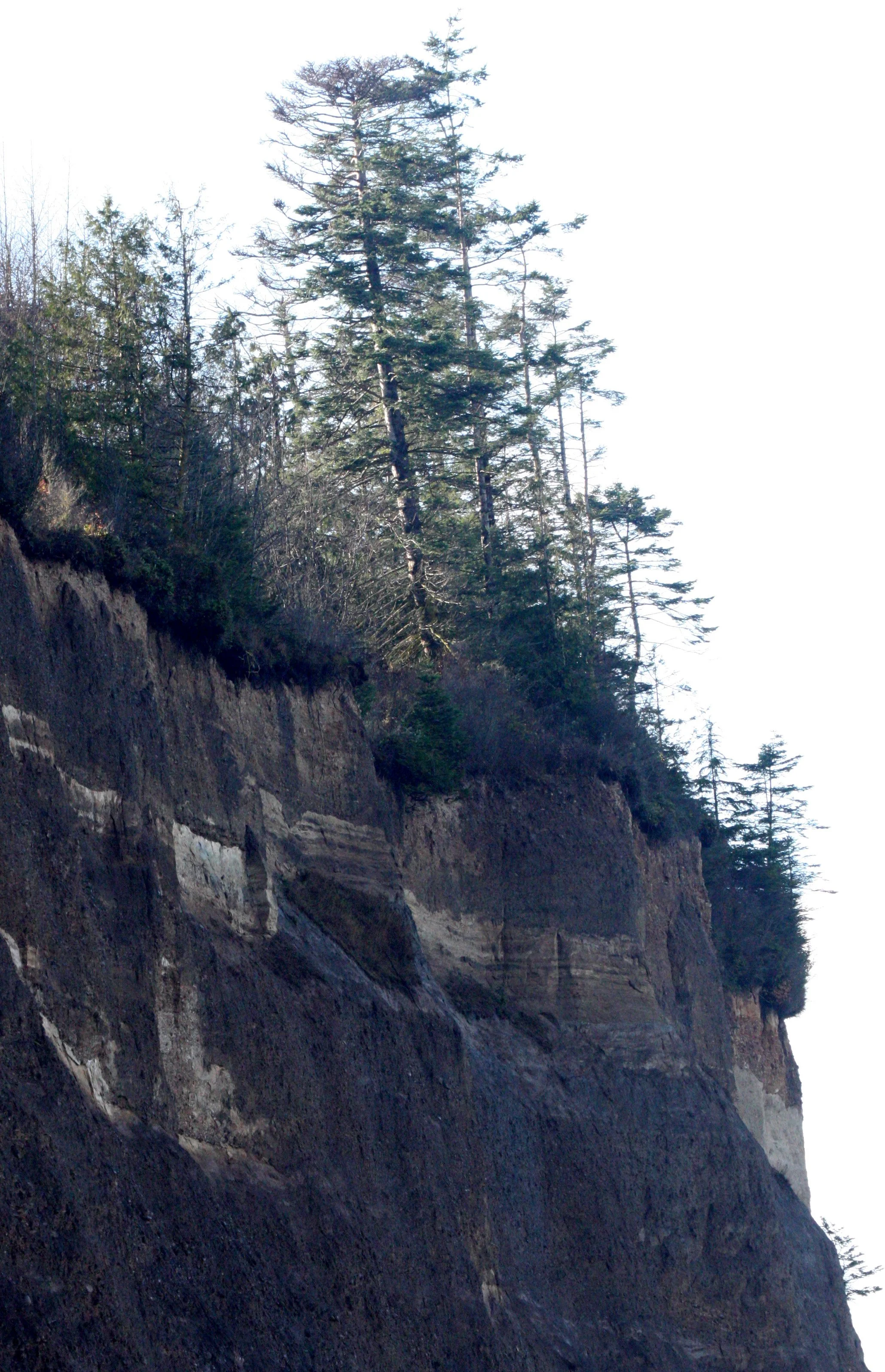 LAKE FARM BLUFFS.JPG