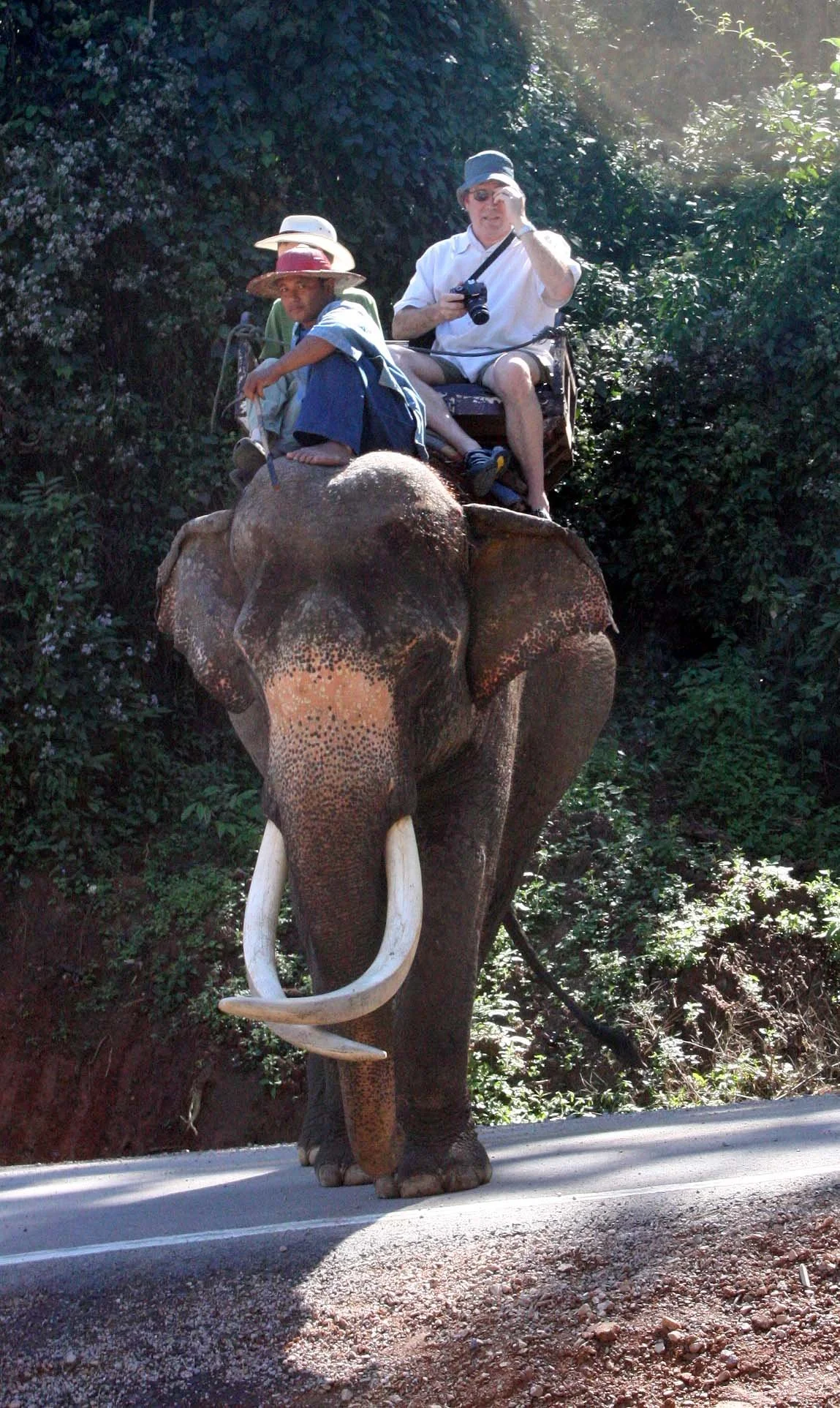 2008 Lampang City & Elephant Center (37).JPG