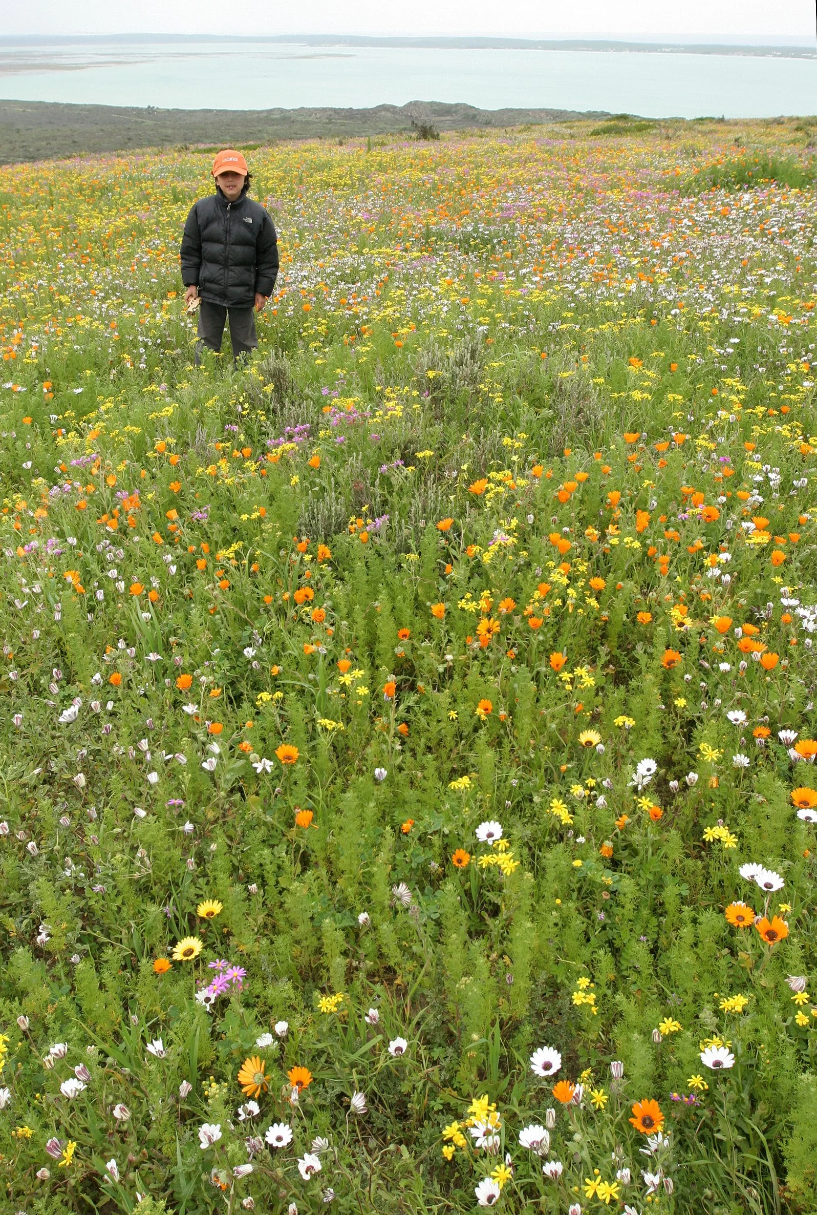 WEST COAST NATIONAL PARK SOUTH AFRICA - VIEWS OF (9).JPG