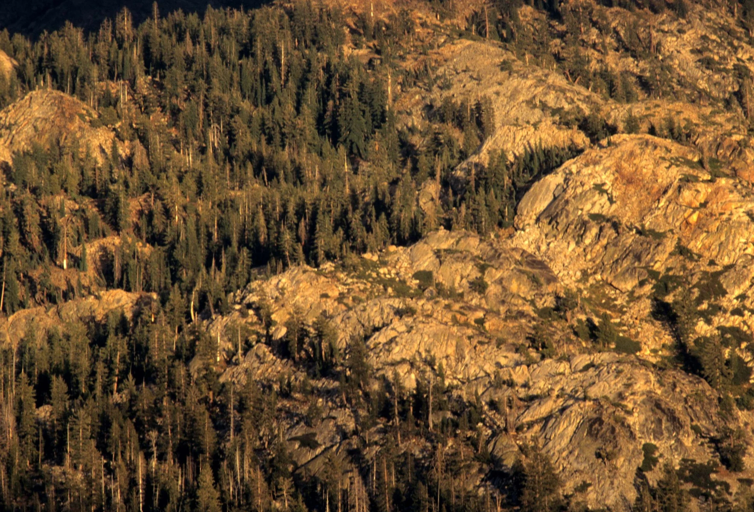 CALIFORNIA - SIERRA NEVADA MOUNTAINS (17).jpg