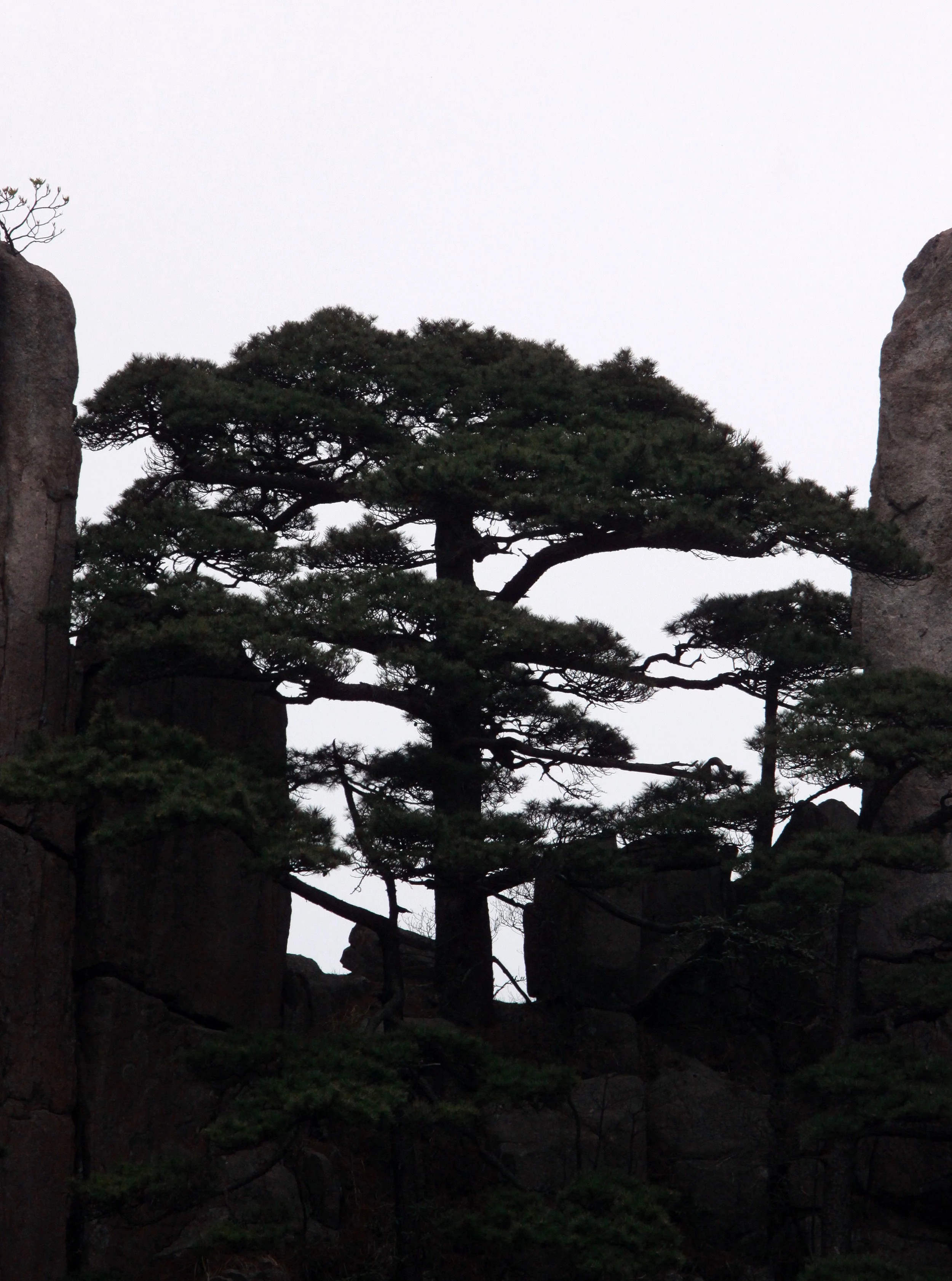 HUANGSHAN NATIONAL PARK - ANHUI PROVINCE CHINA (60).JPG