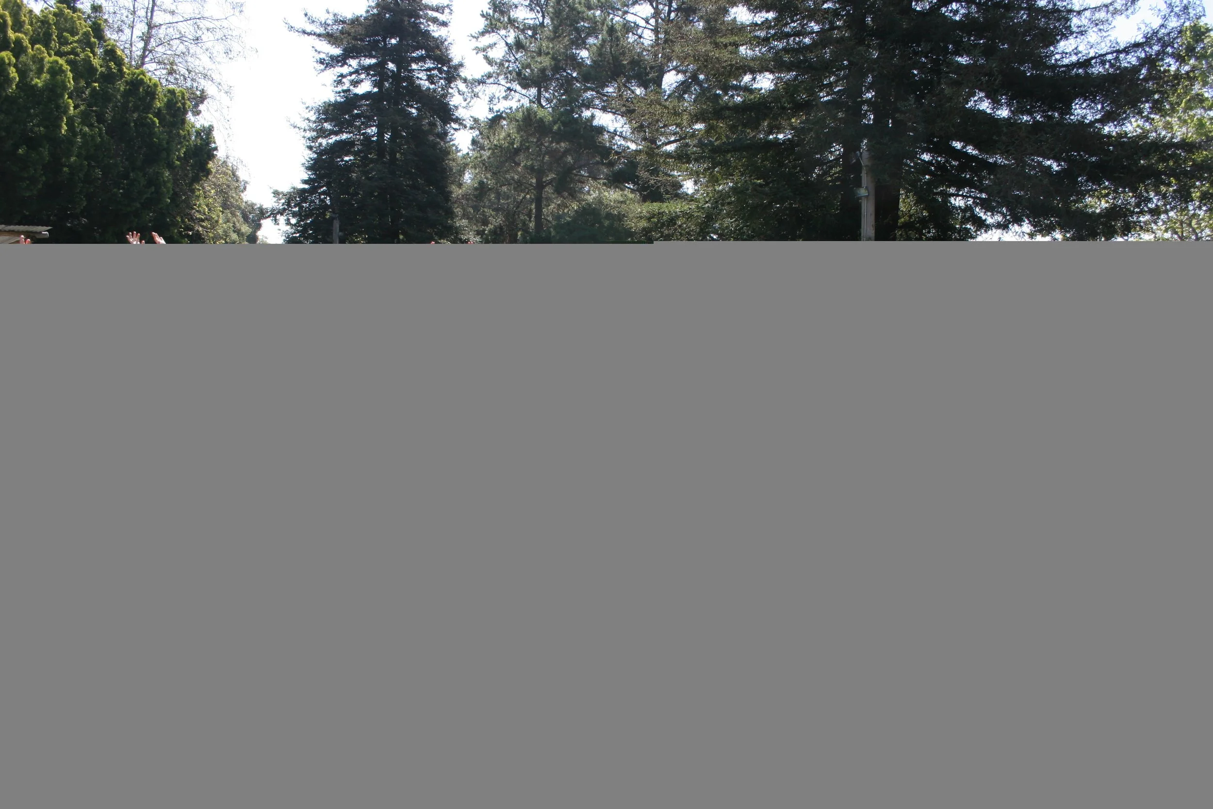 CALIFORNIA - CHANNEL ISLANDS NP - LIMPETS RESEARCH METHODS (6).jpg