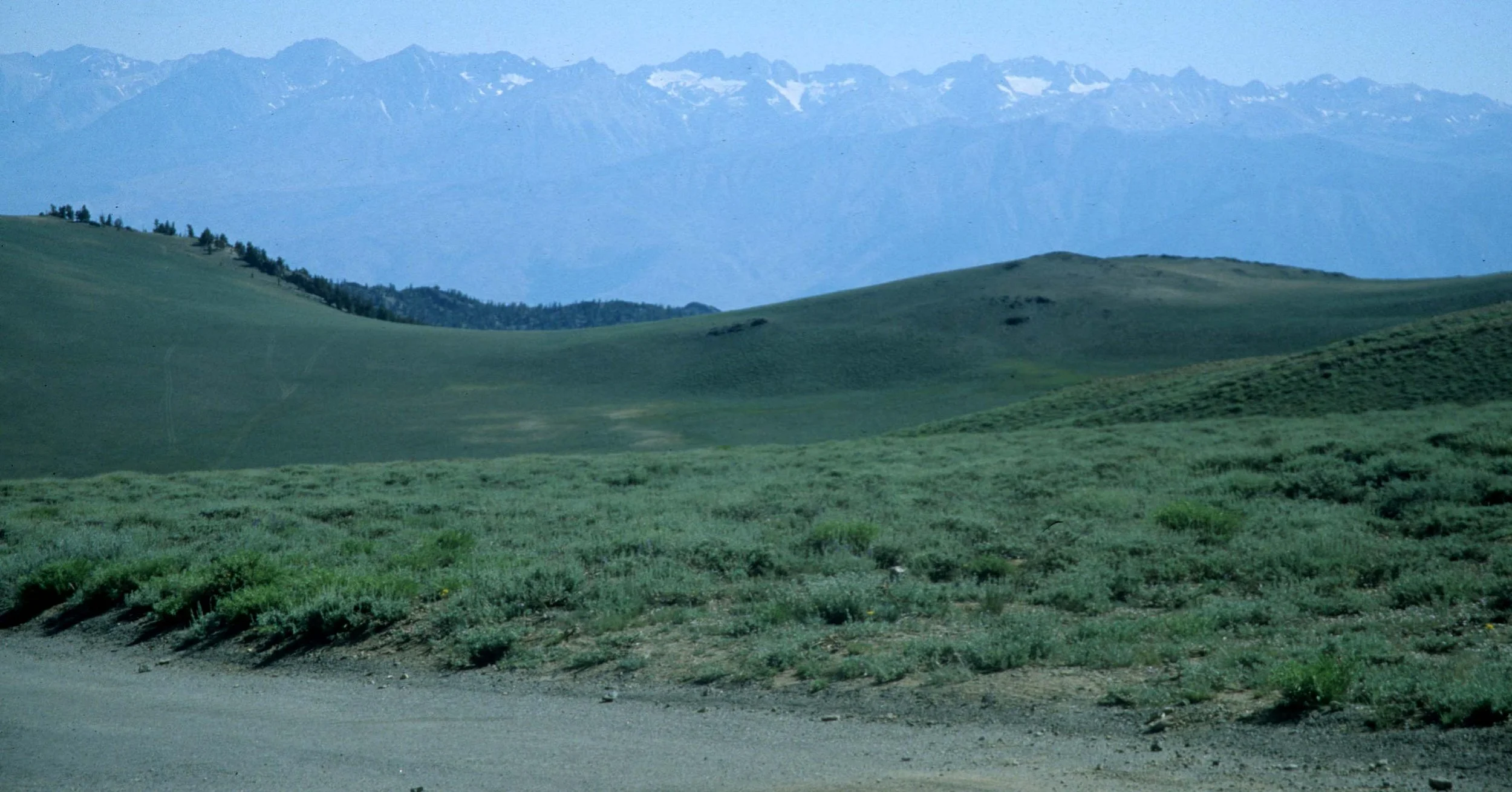 CALIFORNIA - WHITE MOUNTAINS - VIEW OF SIERRA.jpg