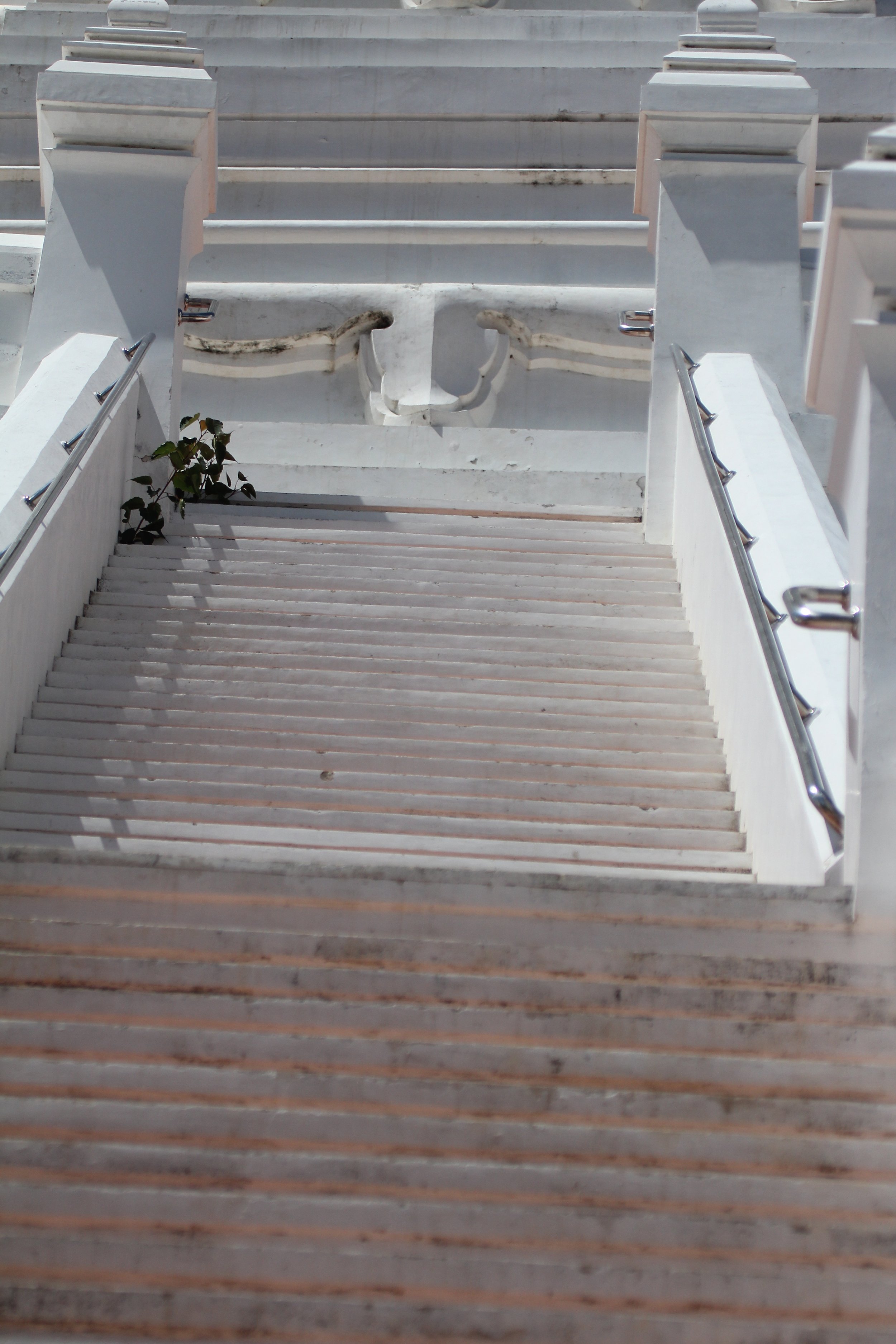 2020 - Ayutthaya Cokie's Pictures (182).JPG