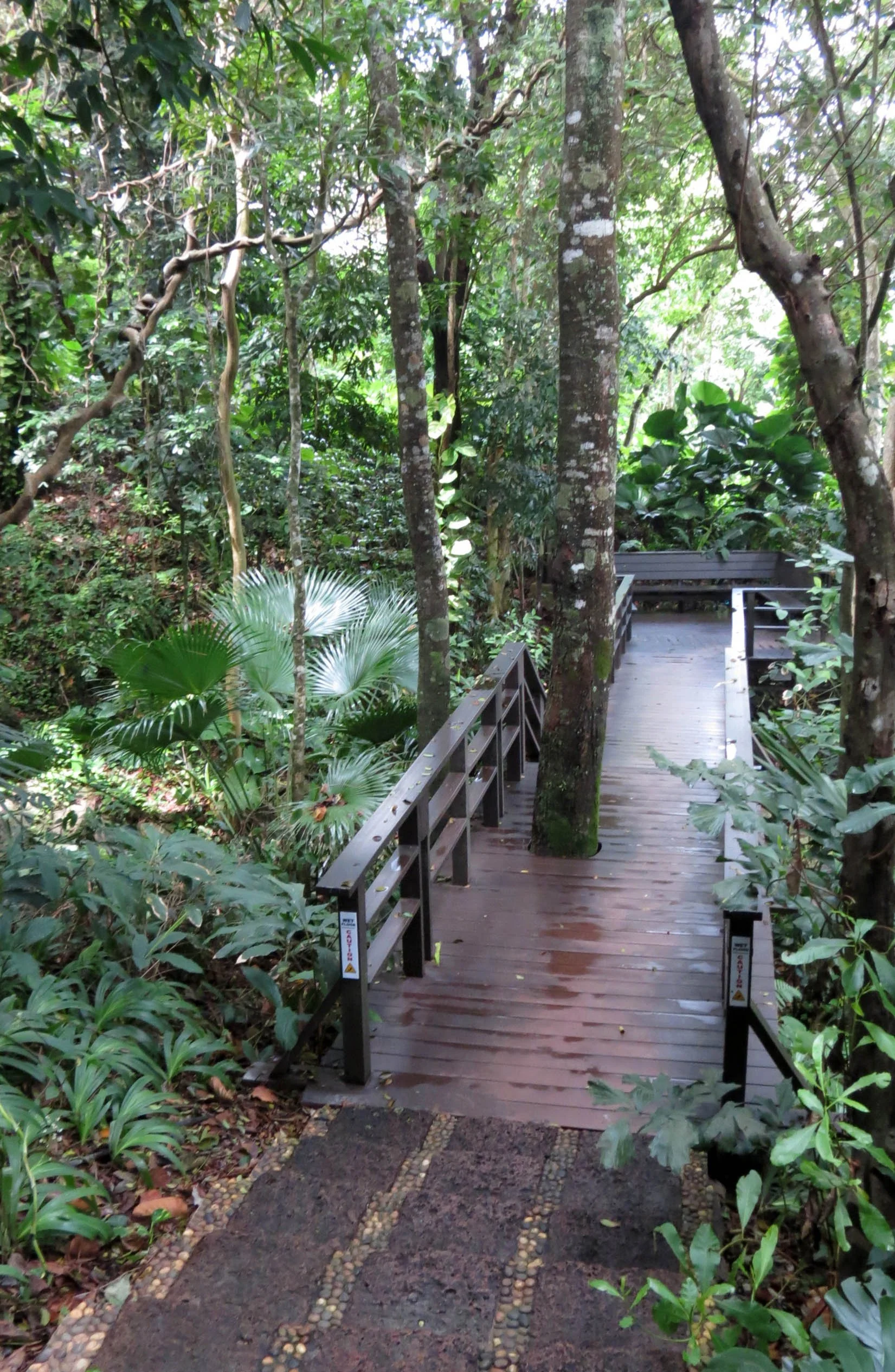 2014 Koh Lanta Build (59).JPG