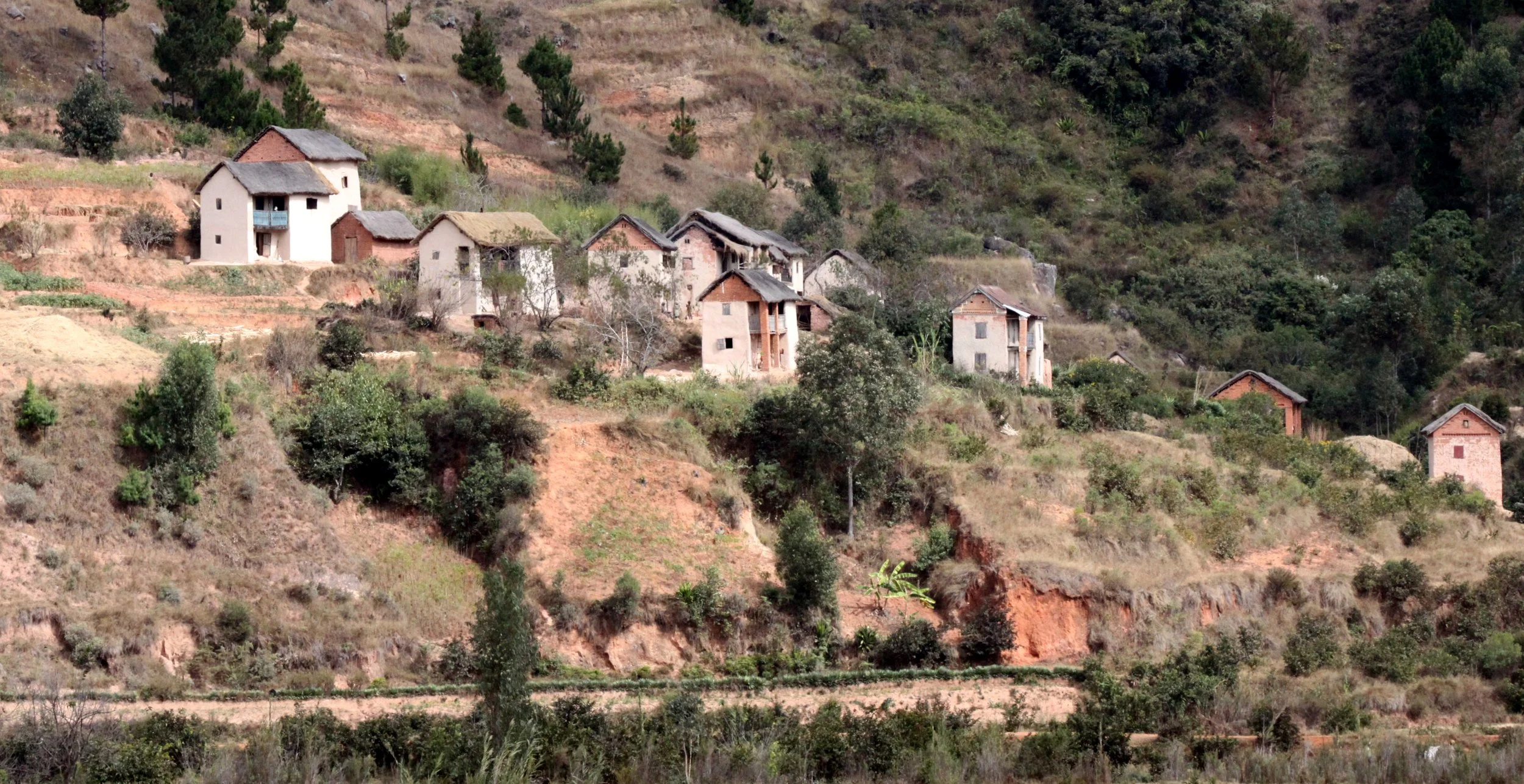 CENTRAL HIGHLANDS - ROAD TO RANOMAFANA (62).JPG