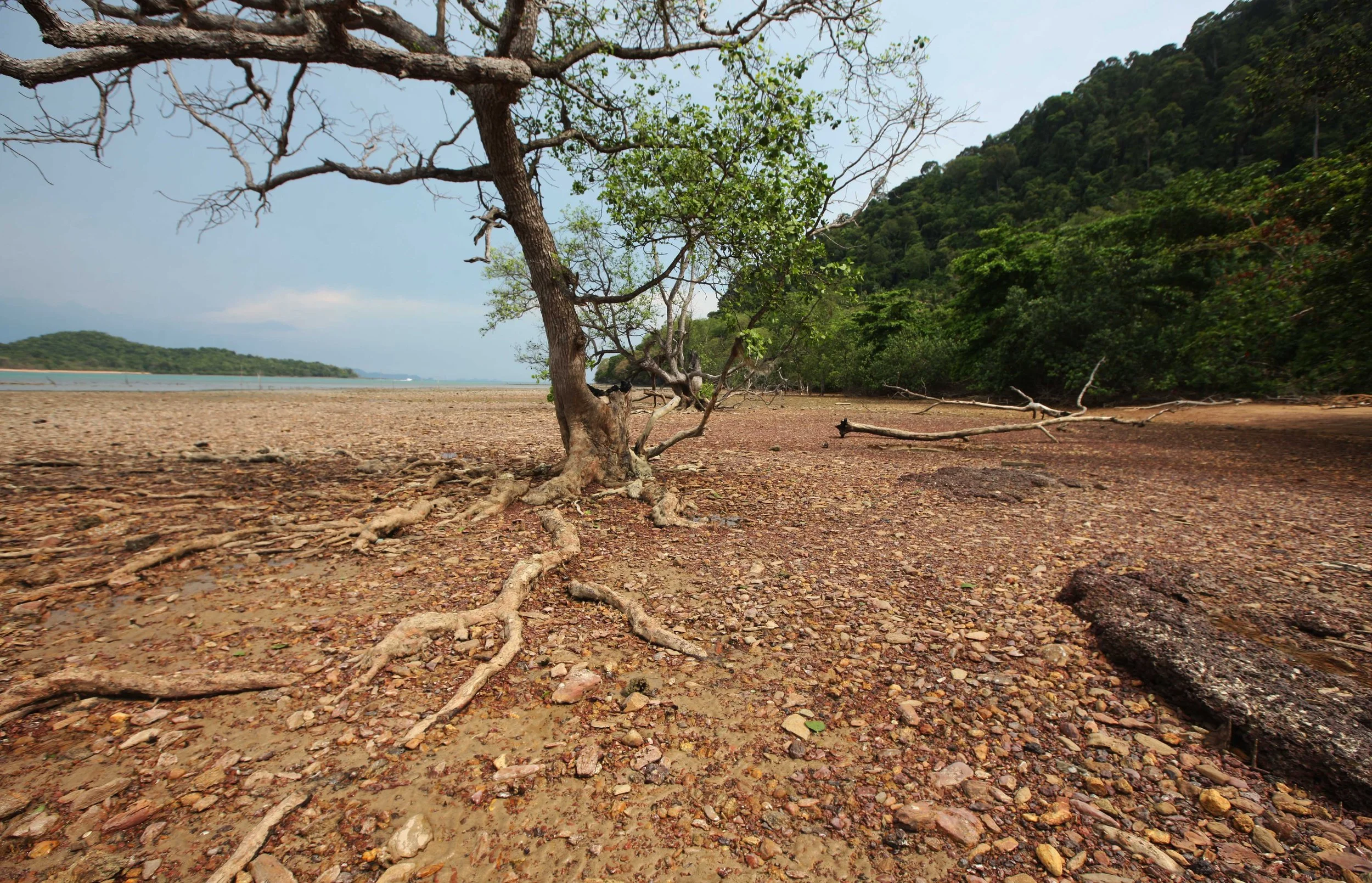 2015 Koh Lanta Songkran with friends from ISB (91).JPG