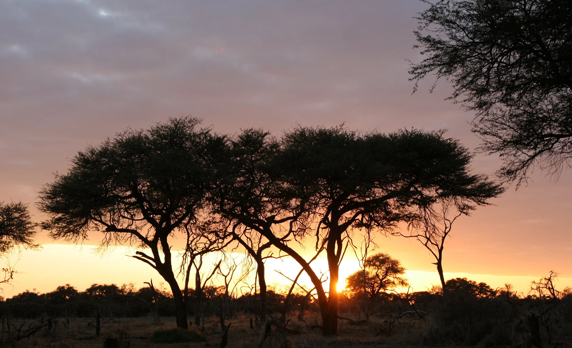 BOTSWANA - KHWAI CAMP SUNRISE - OKAVANGO (6).JPG