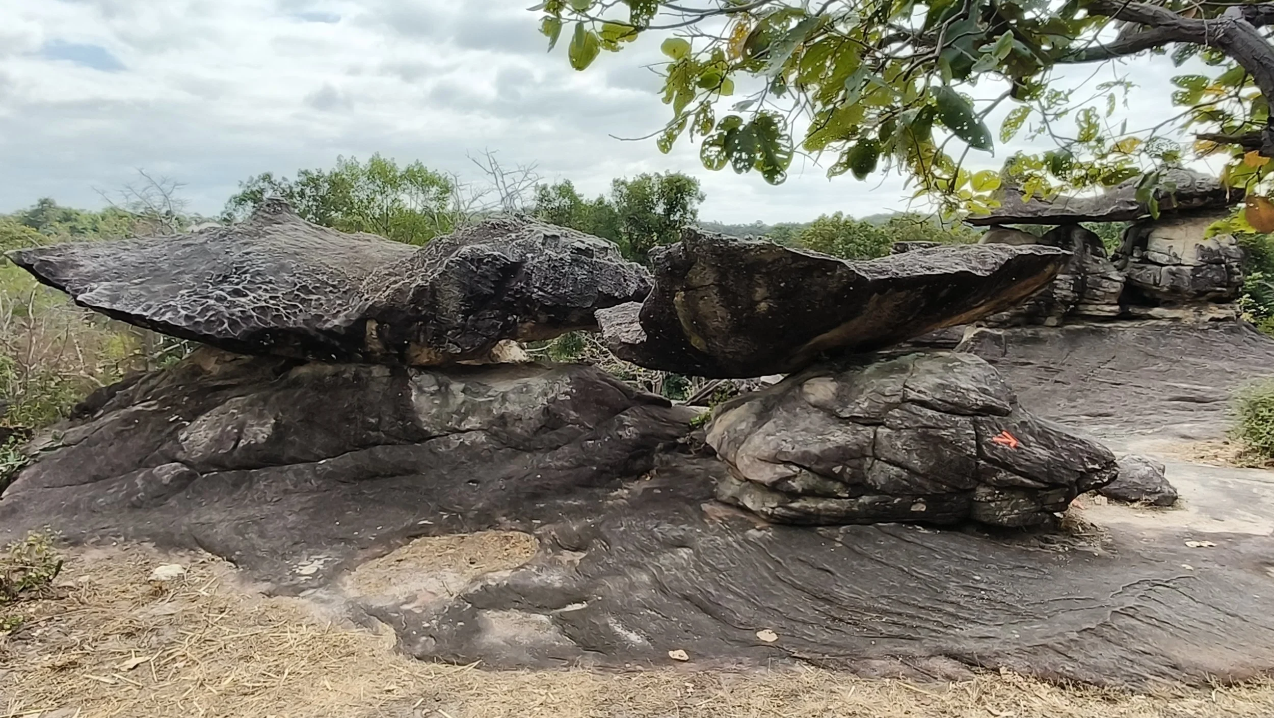  Phu Pha Thoep National Park - Mukdahan Thailand (45).jpg