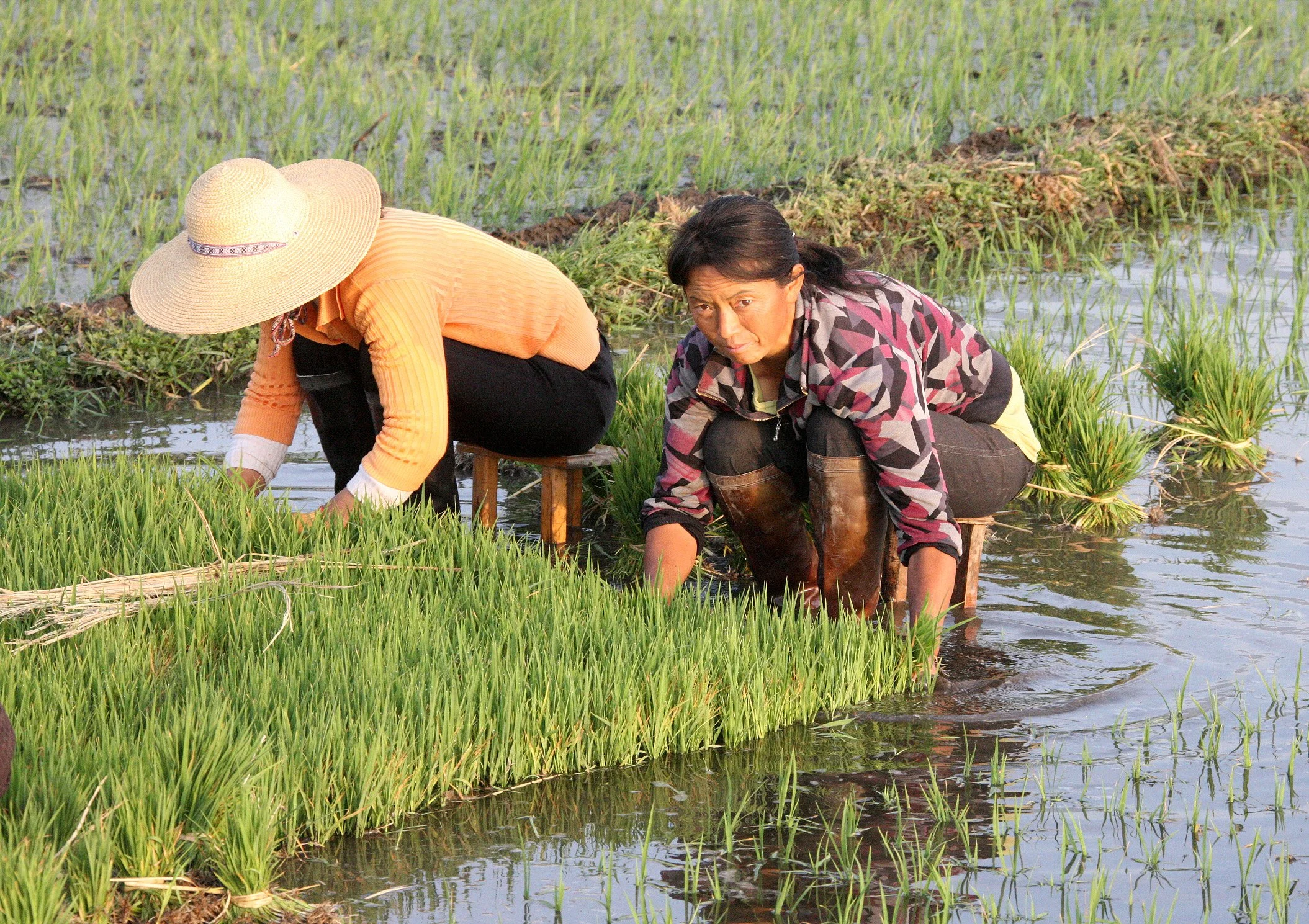 LINDEN CENTER - XIZHOU VILLAGE YUNNAN CHINA (93).JPG