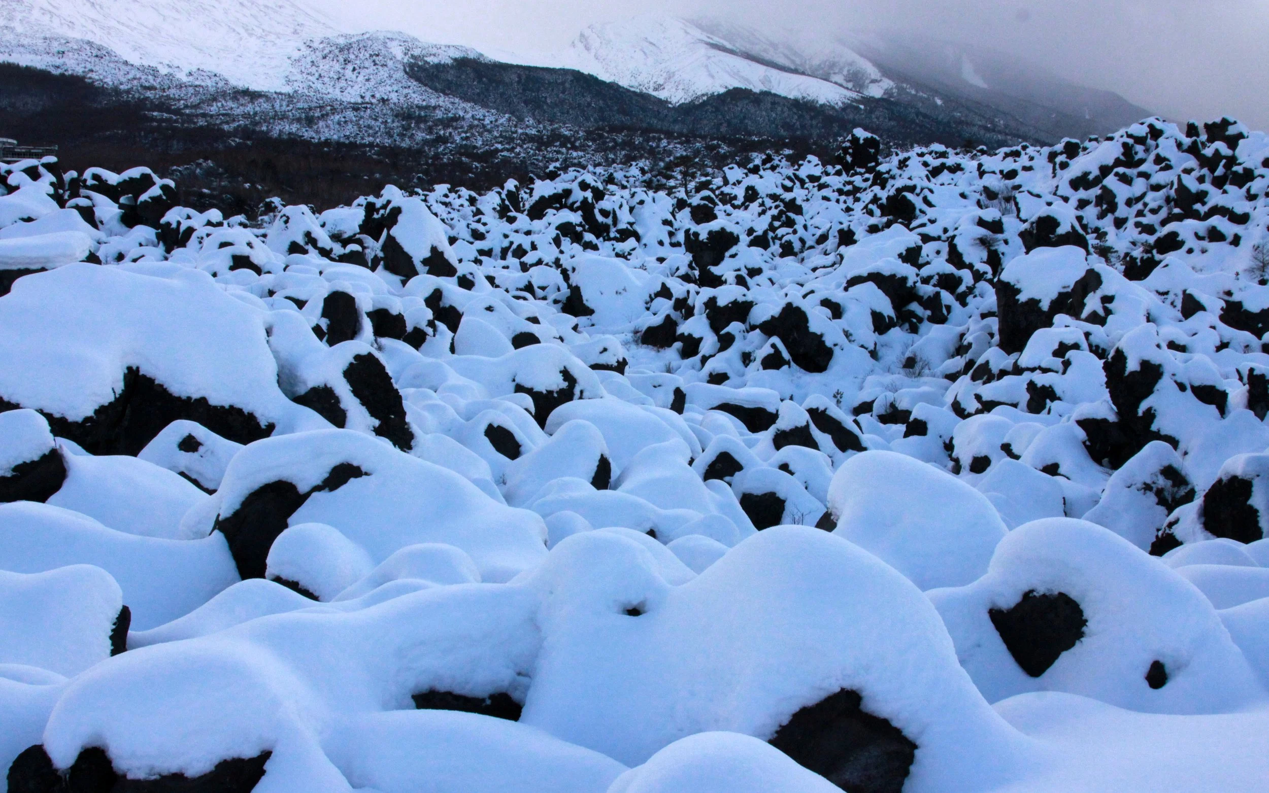 MOUNT ASAMA - JOSHIN'ETSUKOGEN NATIONAL PARK JAPAN (89).JPG