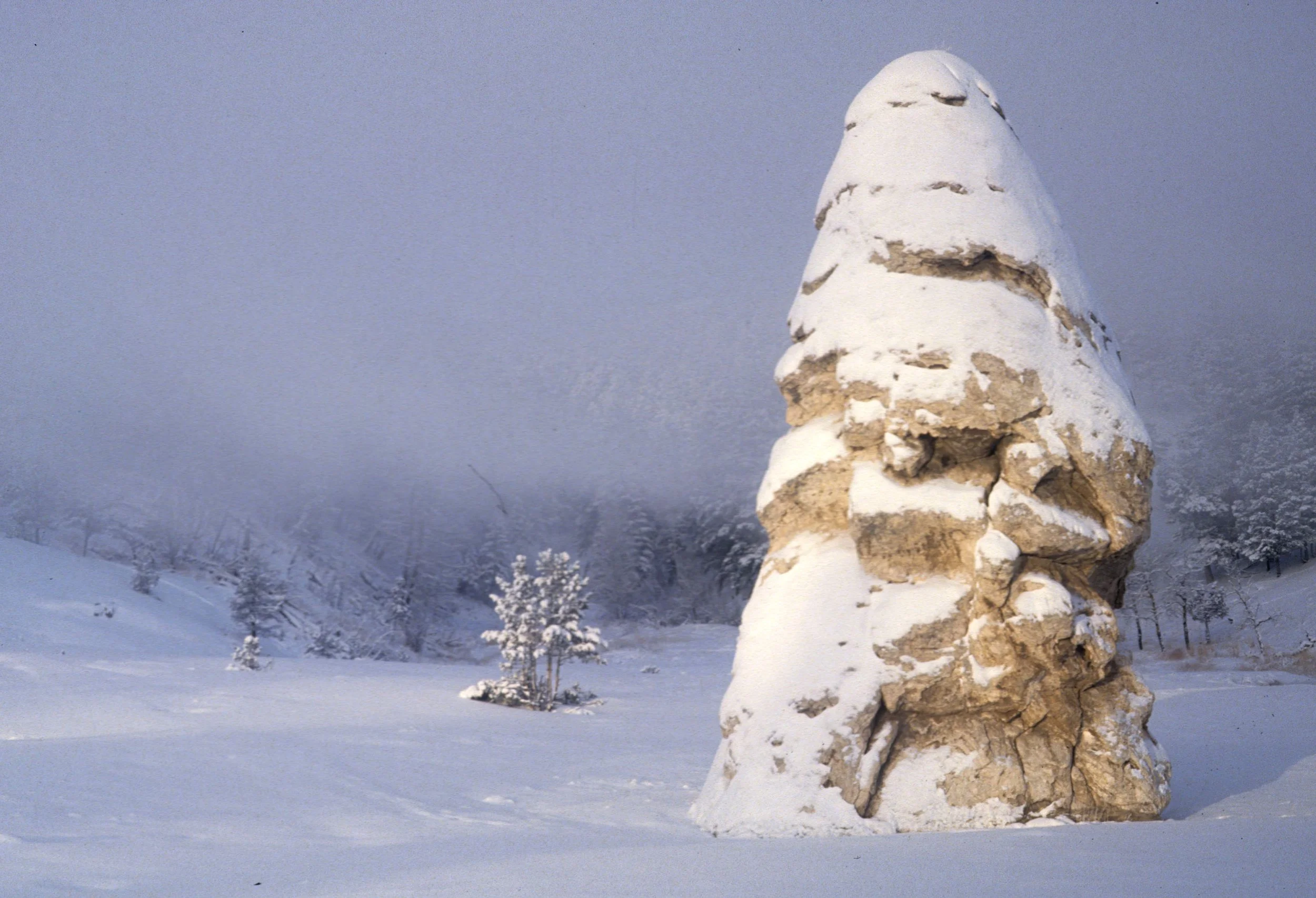YELLOWSTONE IN WINTER LL.jpg