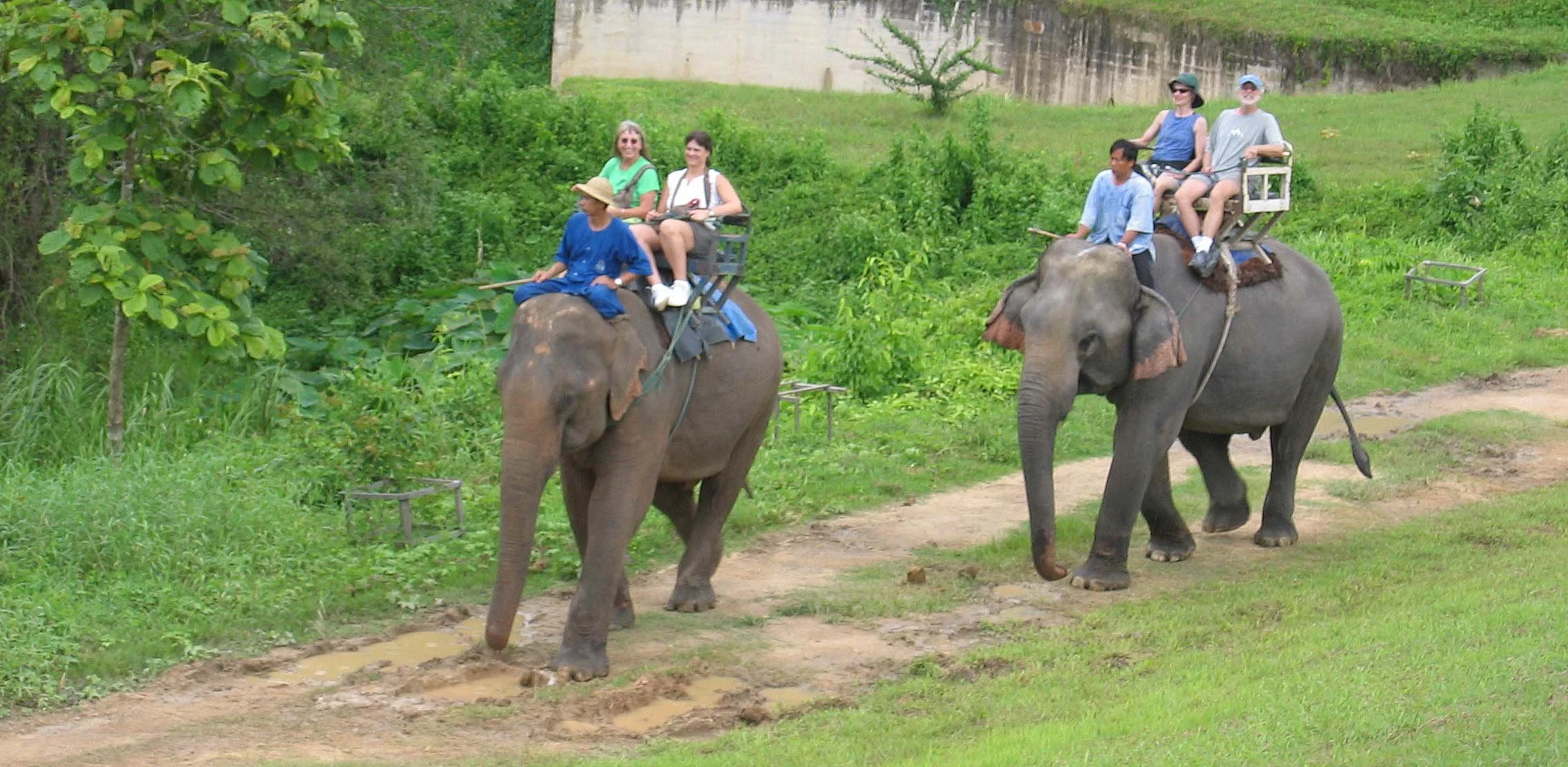2008 Lampang City & Elephant Center (120).jpg