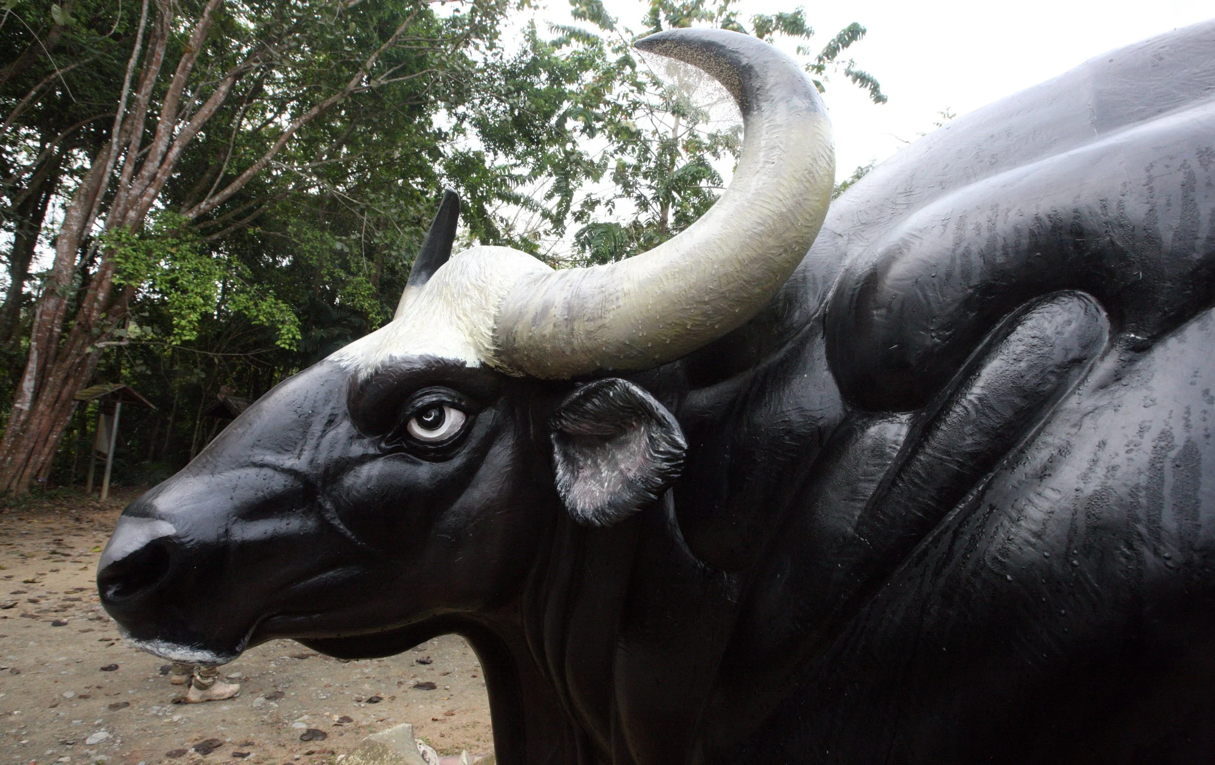 2015 Khao Pang Ma Nonhunting Area (168).JPG