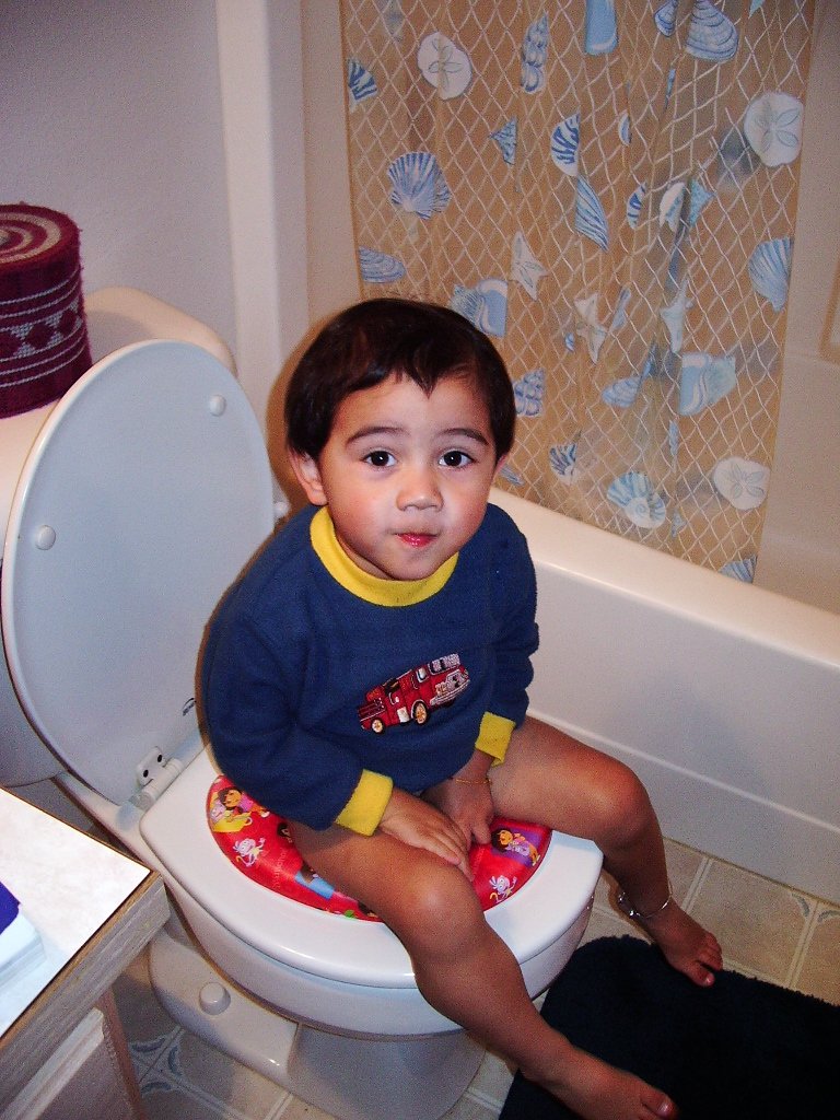 Cokie's first poop in a toilet!!!