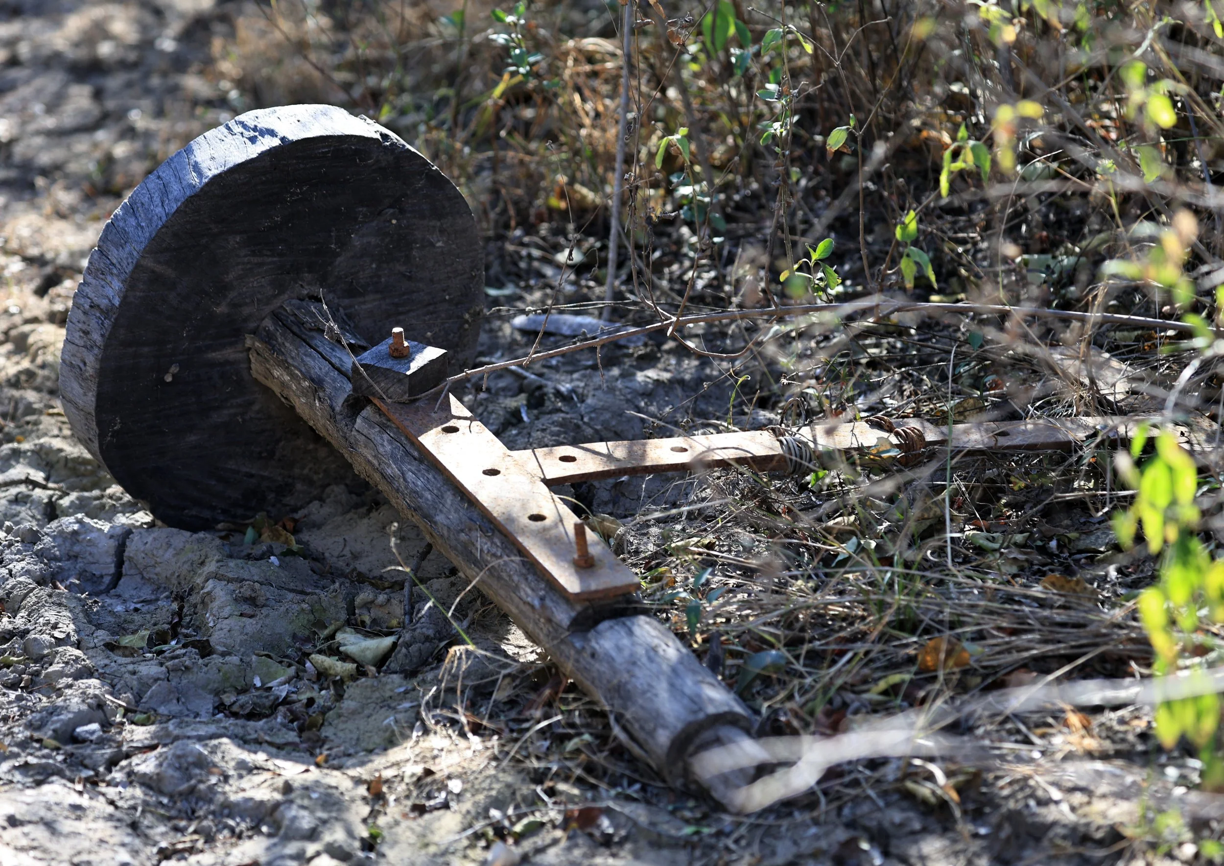 Ancient Roman remains of a chariot