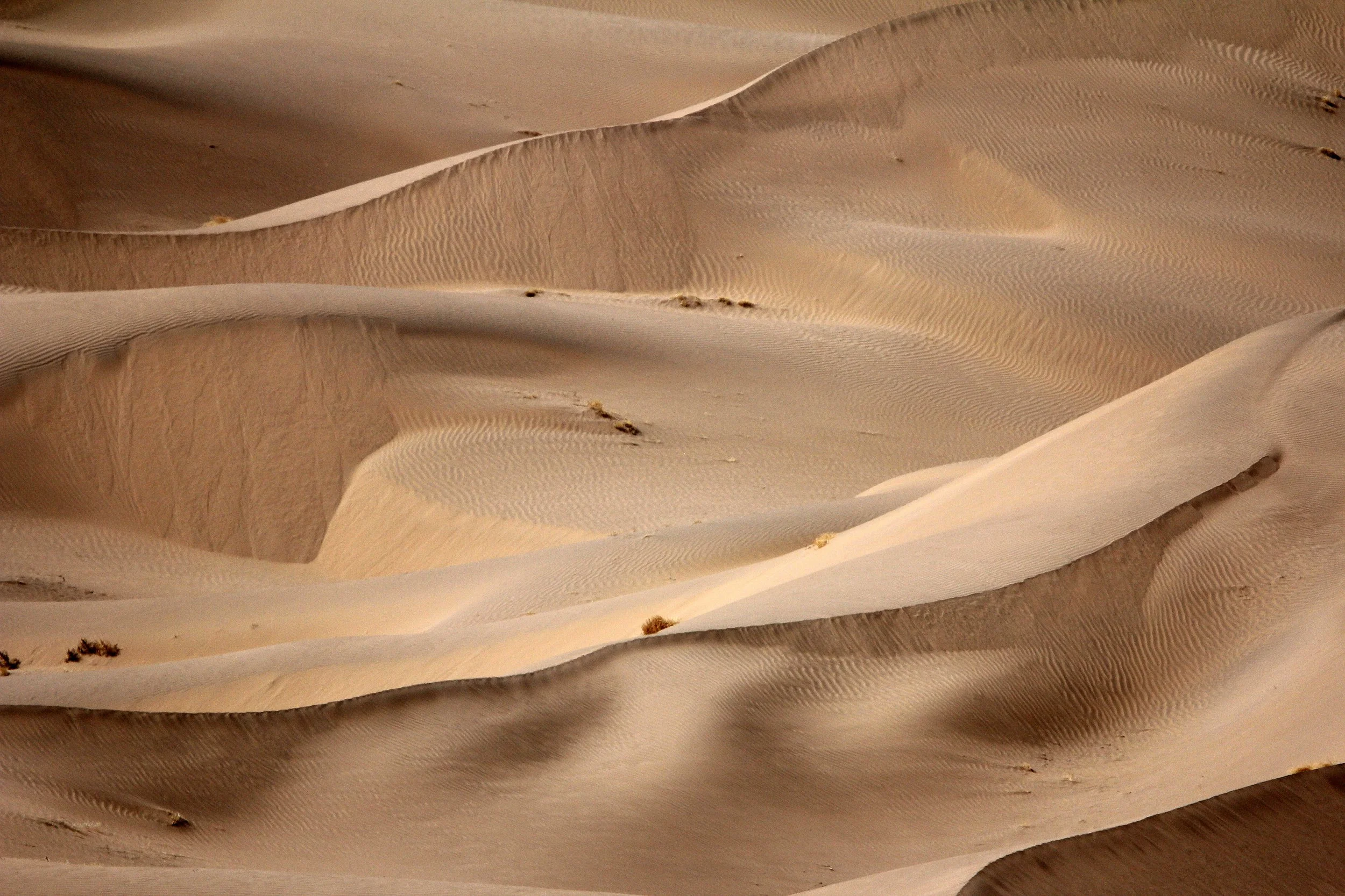 GANSU - DUNES SOUTH OF DUNHUANG - CHINA (14).JPG
